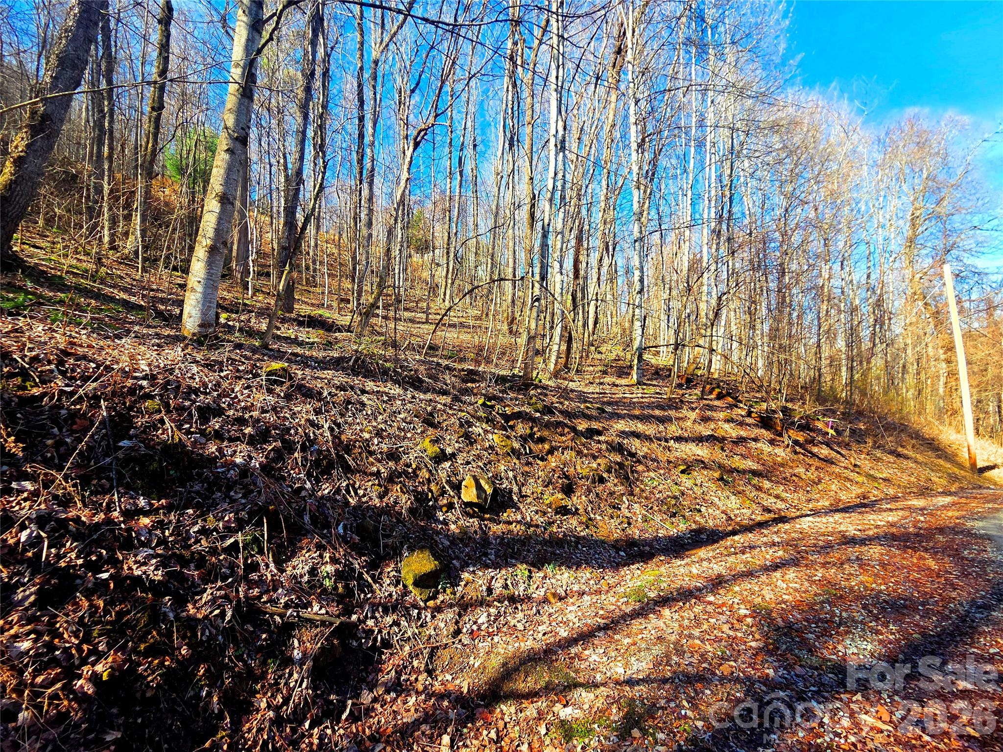 Cataloochee Ranch Estates - Land