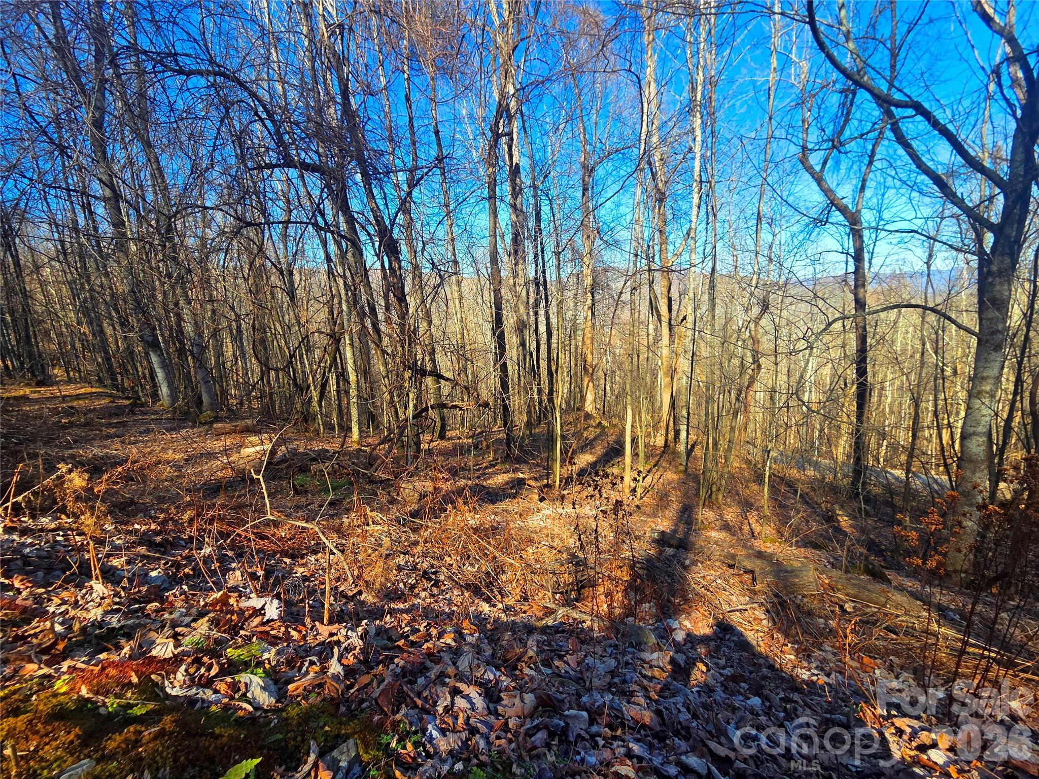 160 Slippery Rock Road 206