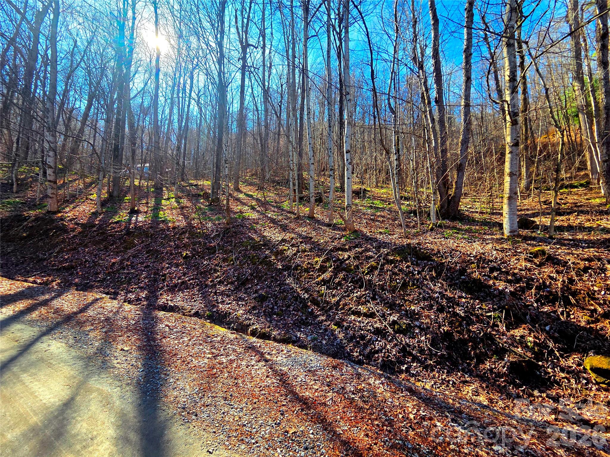 Cataloochee Ranch Estates - Land