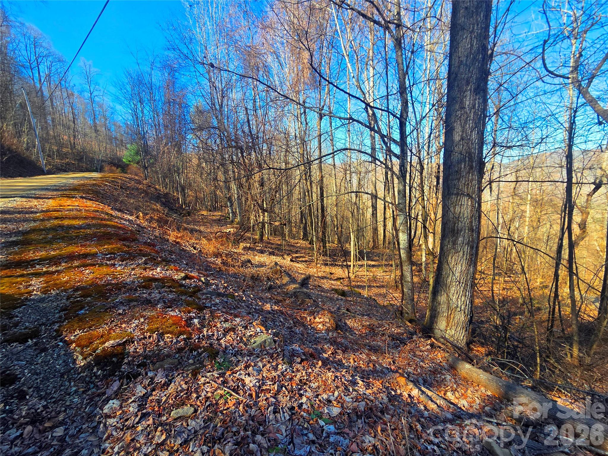 Cataloochee Ranch Estates - Land