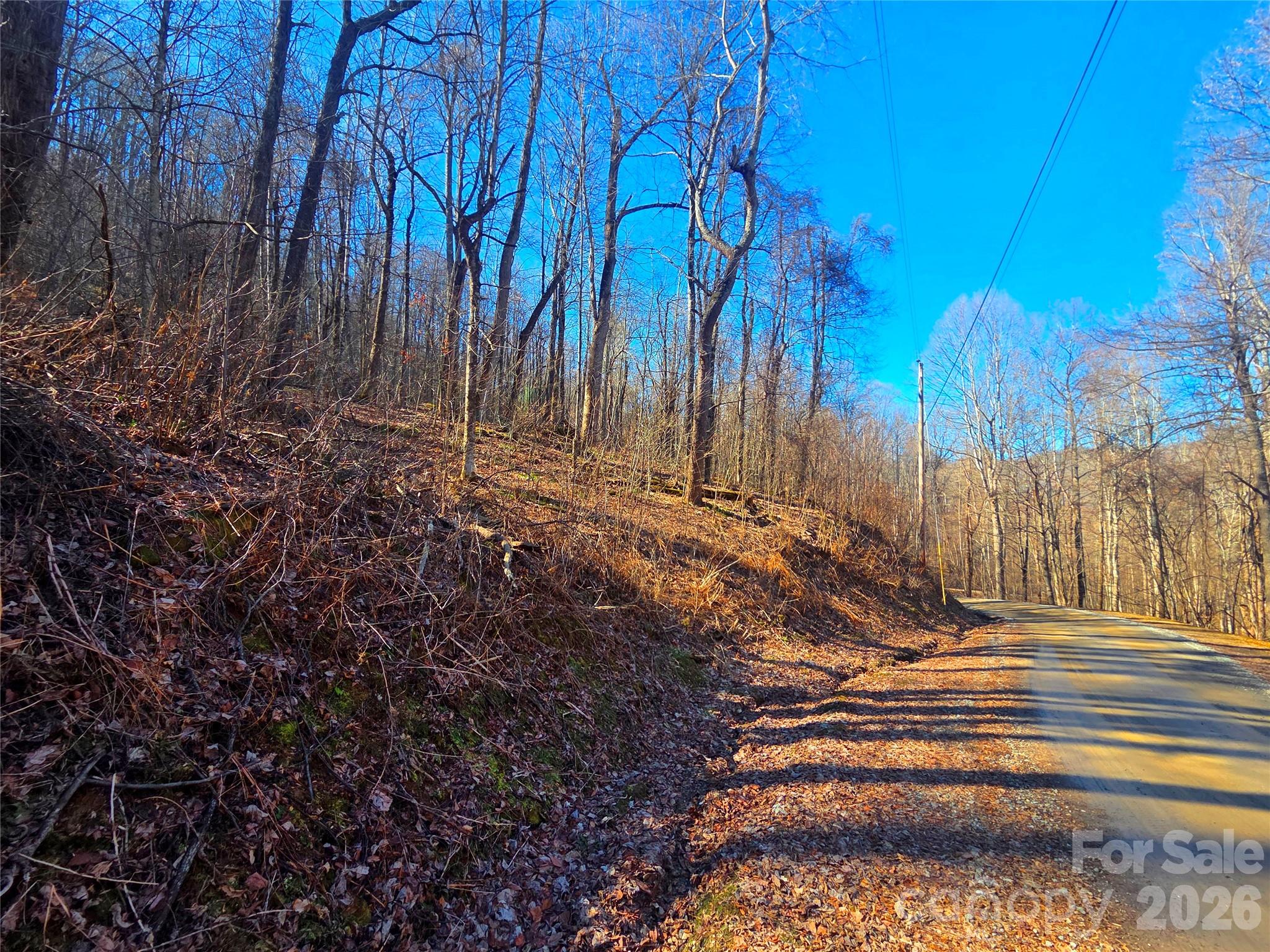 Cataloochee Ranch Estates - Land