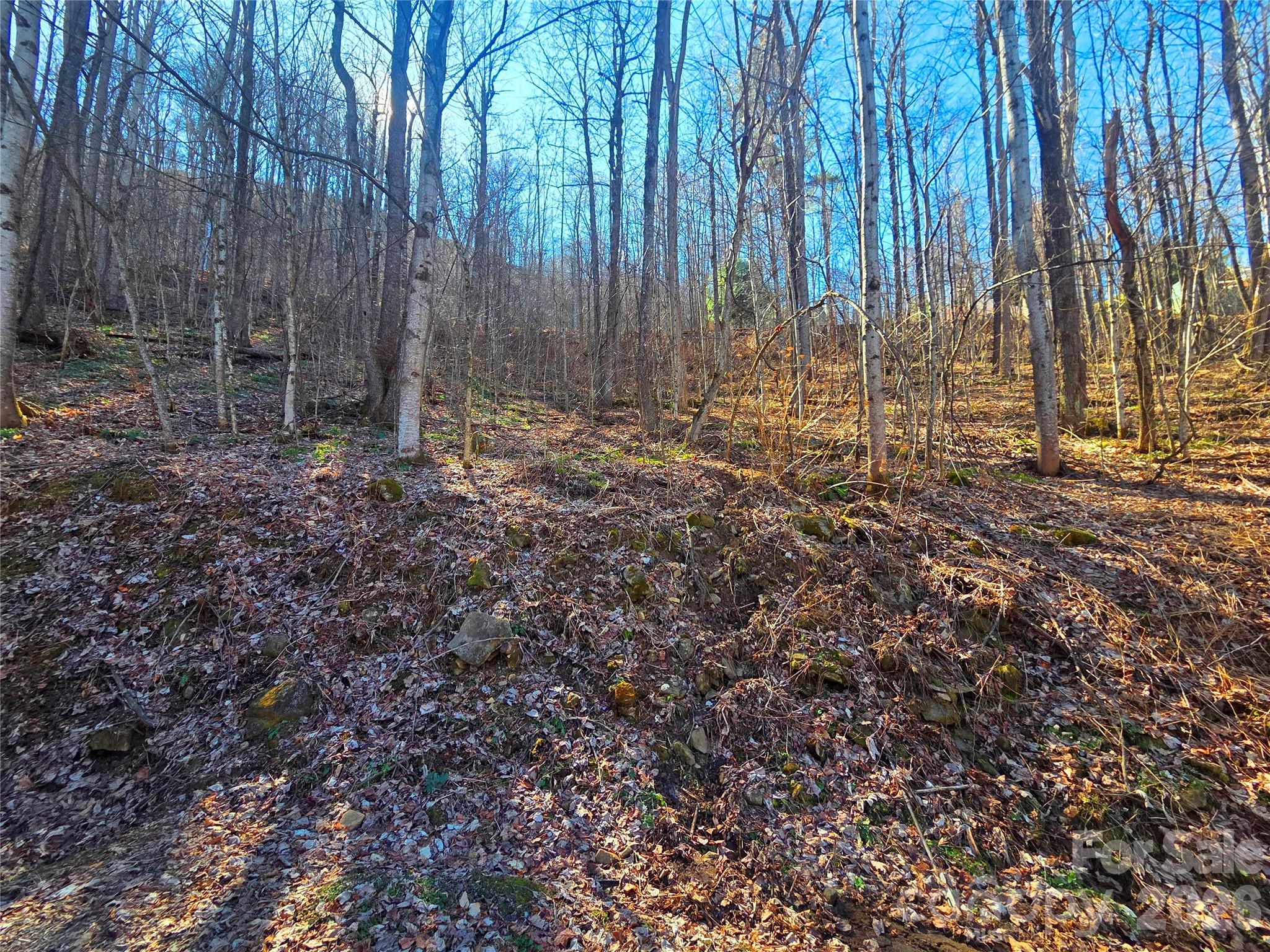 Cataloochee Ranch Estates - Land