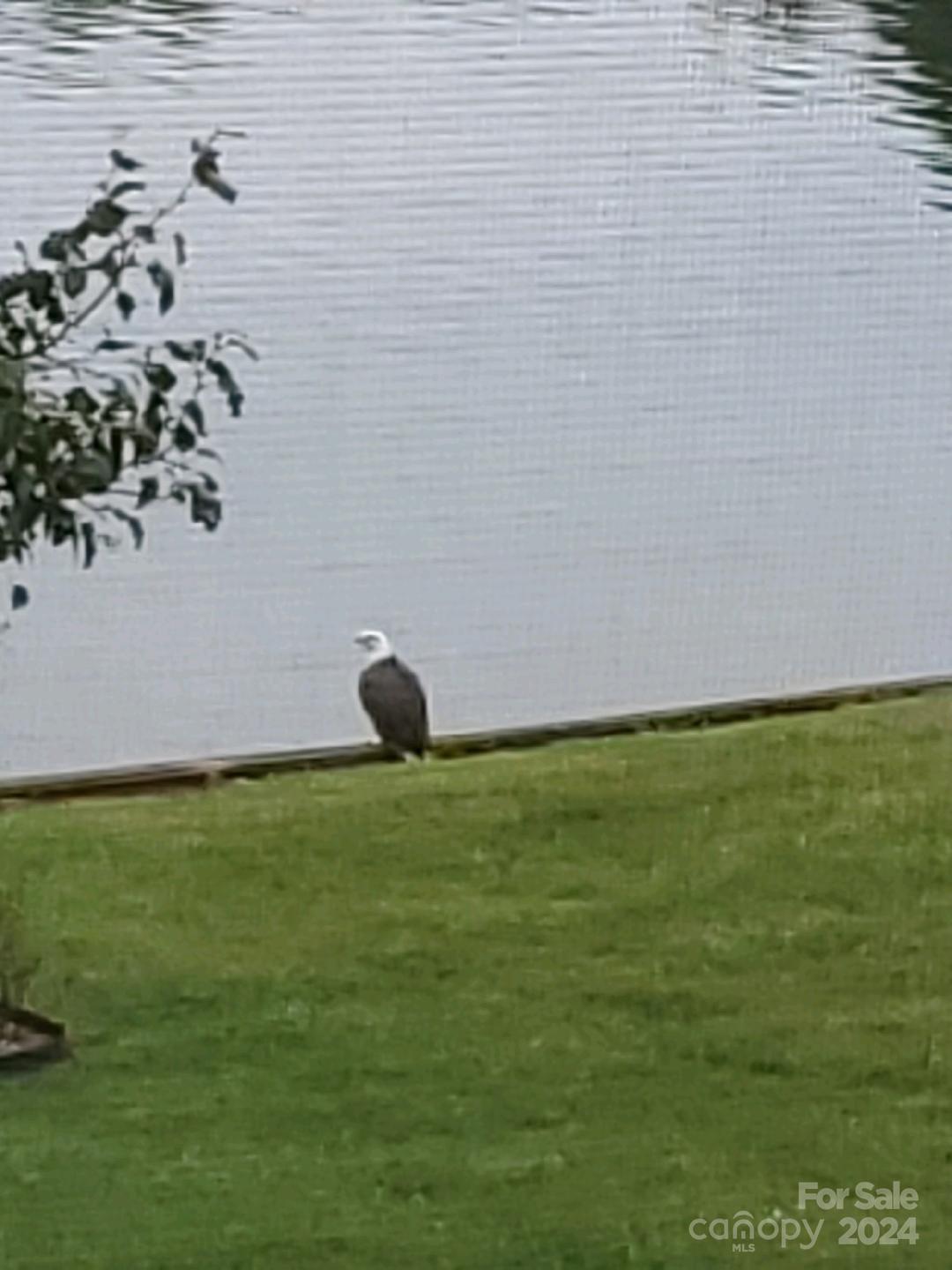 Waterford Point - Residential