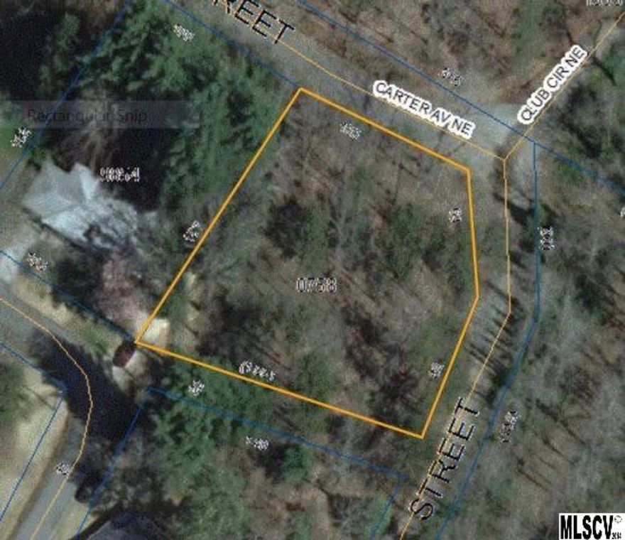 Sloping wooded lot in an older well established neighborhood. Street frontage on three sides (one of which is unopened). A portion of the concrete driveway of the adjacent lot appears to encroach on the subject property.