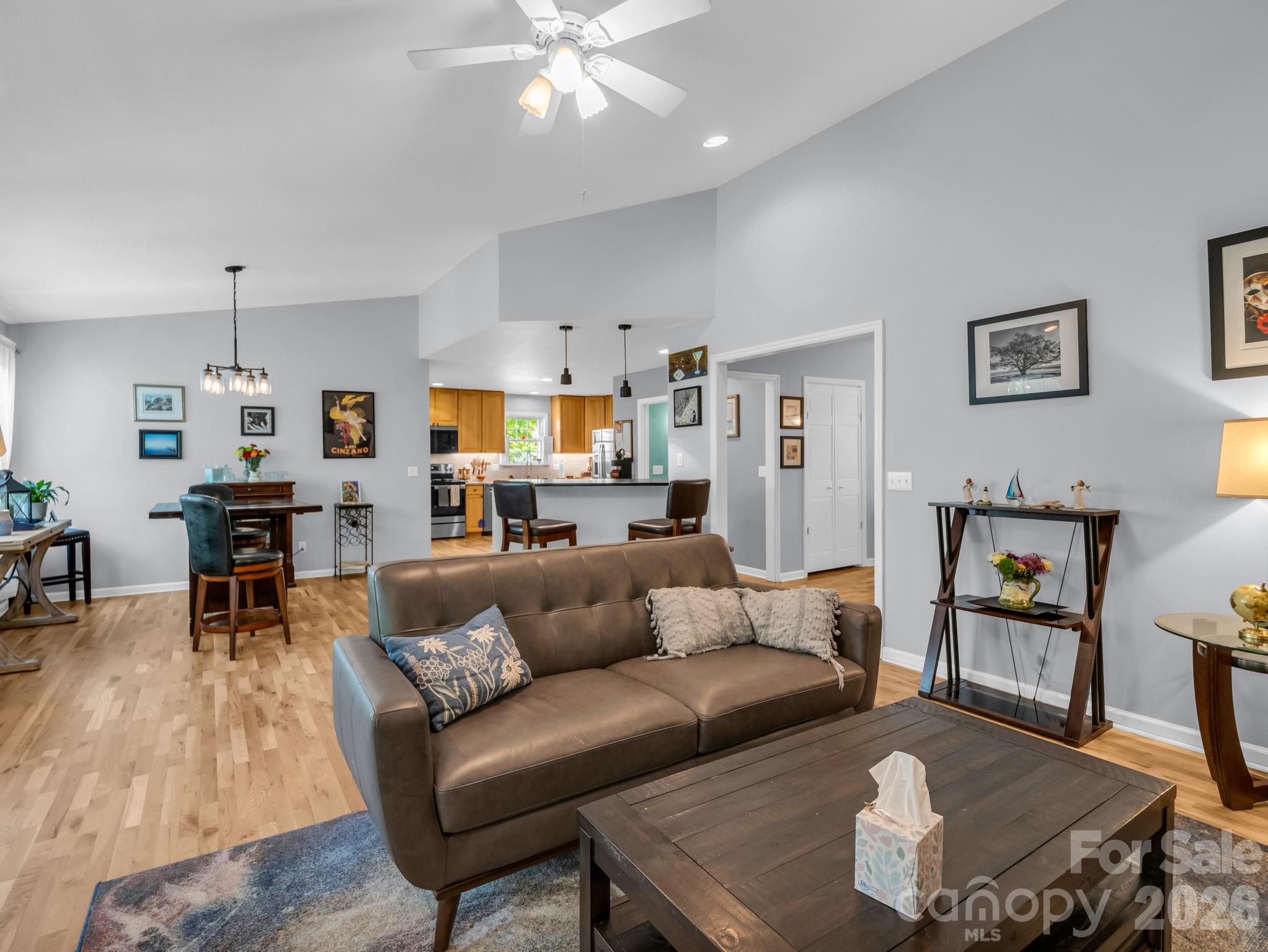 Mills River Village - Residential
