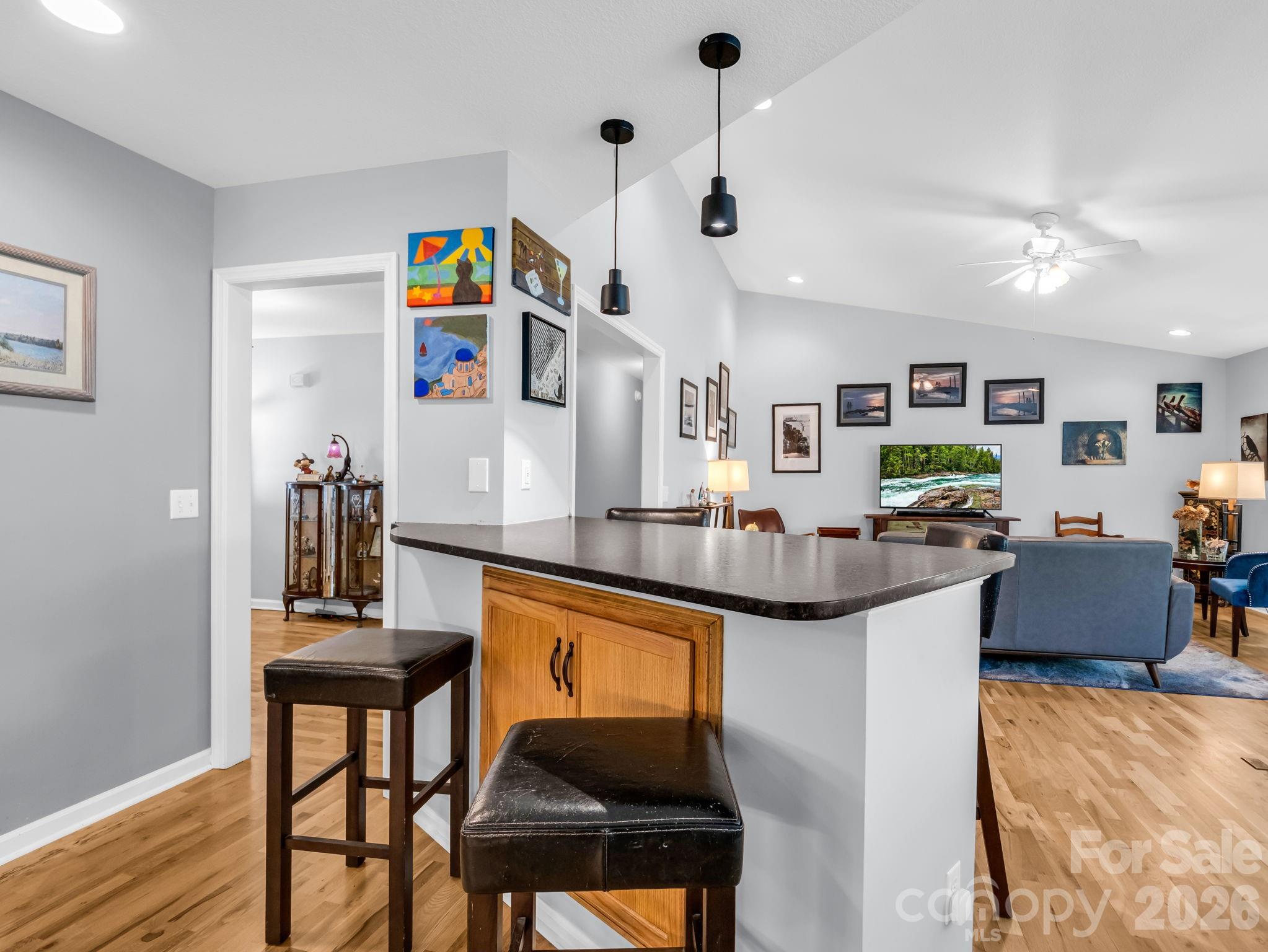 Mills River Village - Residential