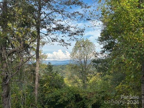 TBD Cabin Hollow Drive 11 Marshall NC 28753