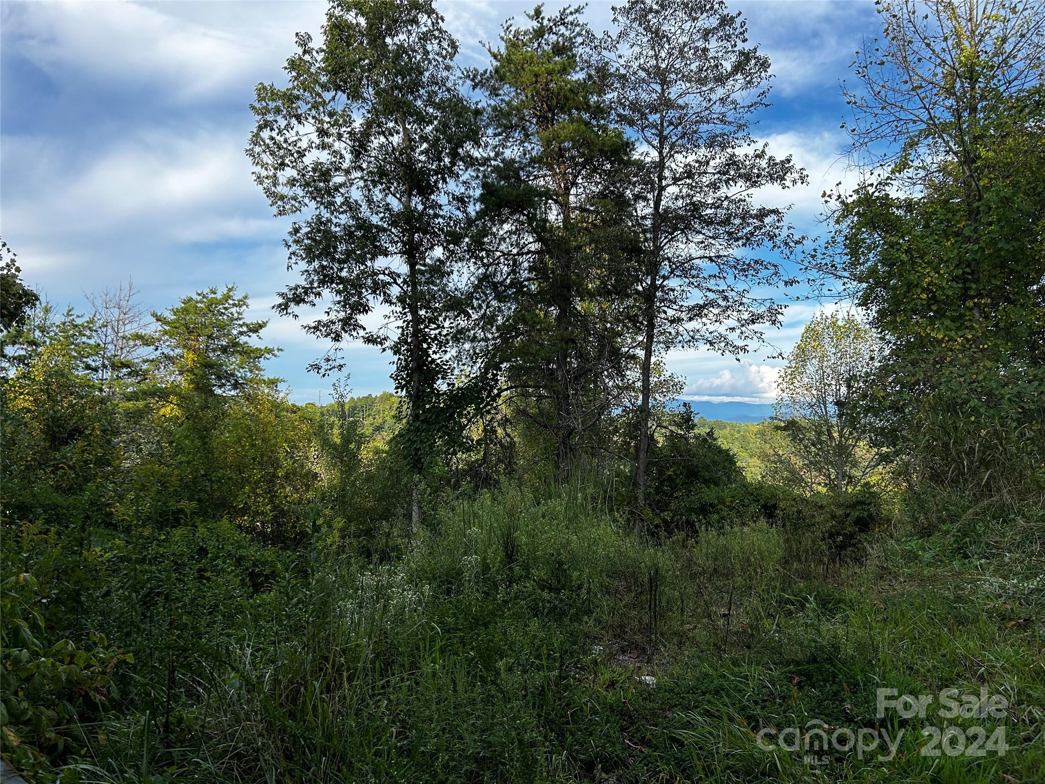 TBD Cabin Hollow Drive 11