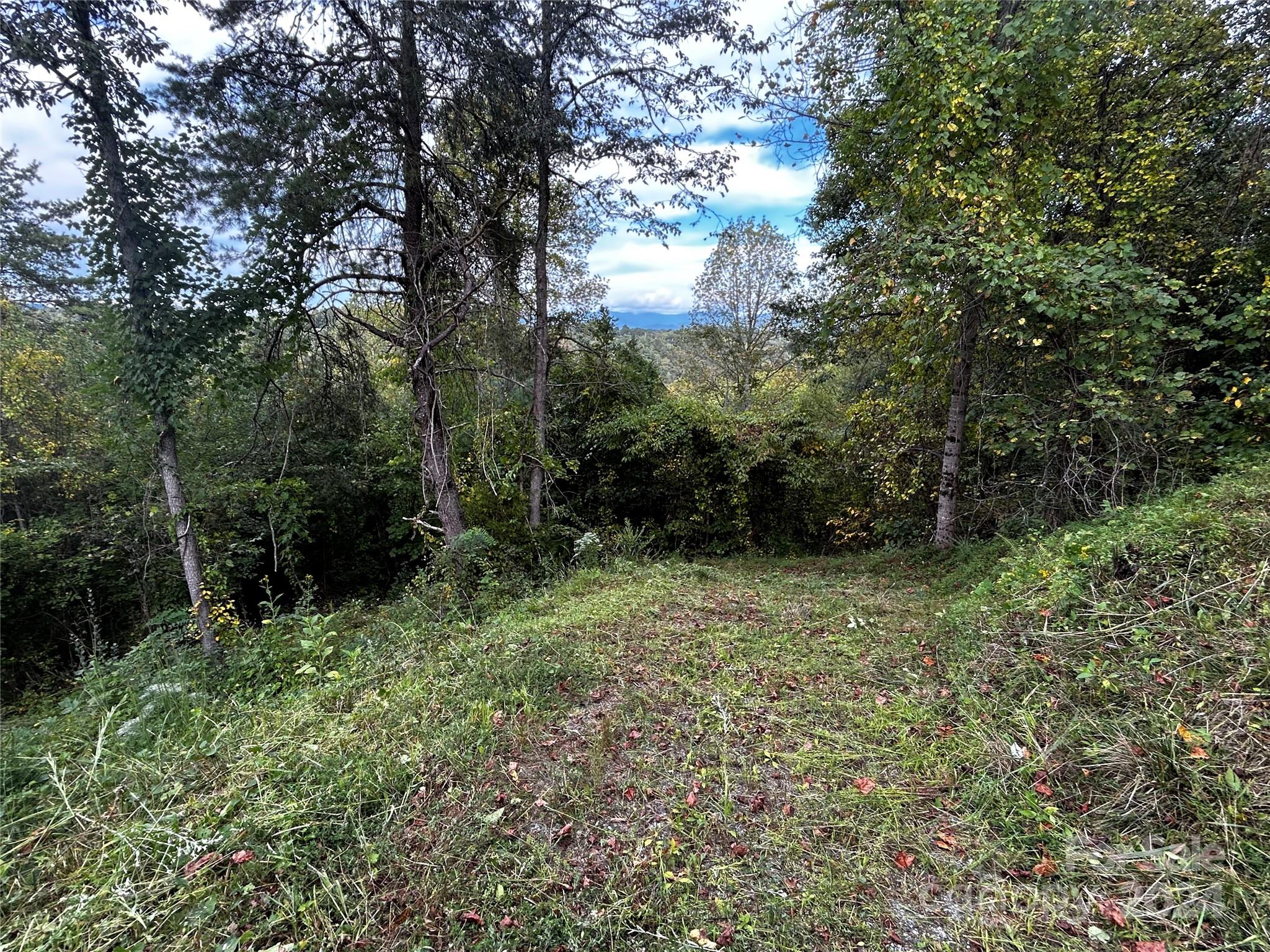 TBD Cabin Hollow Drive 11