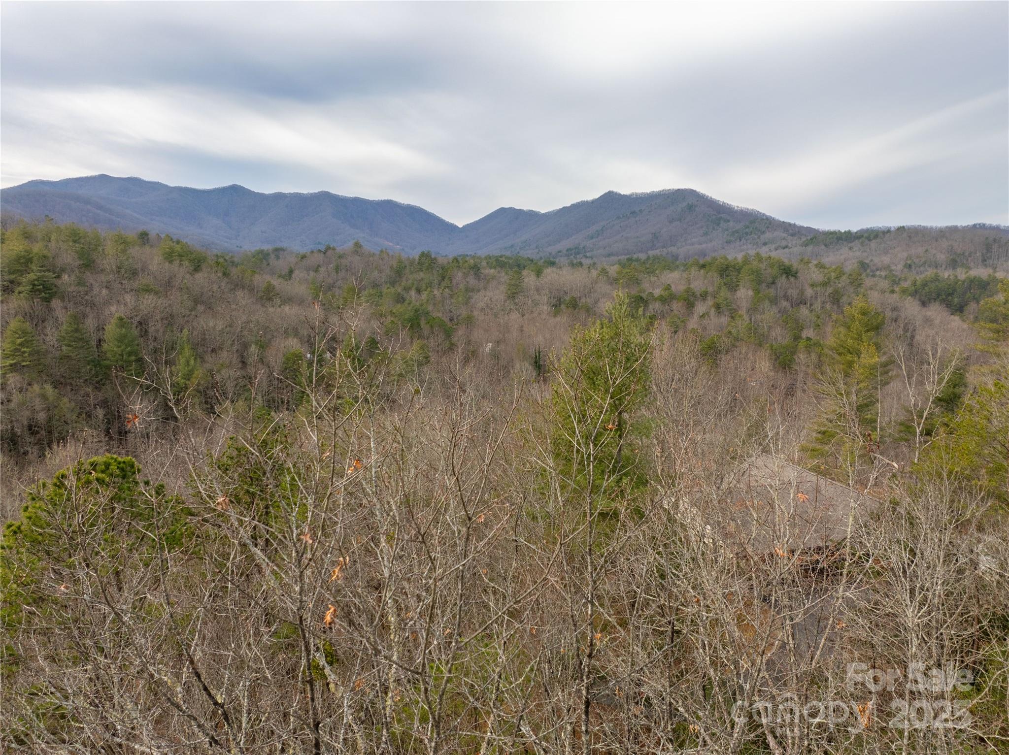 Carolina Vistas - Land