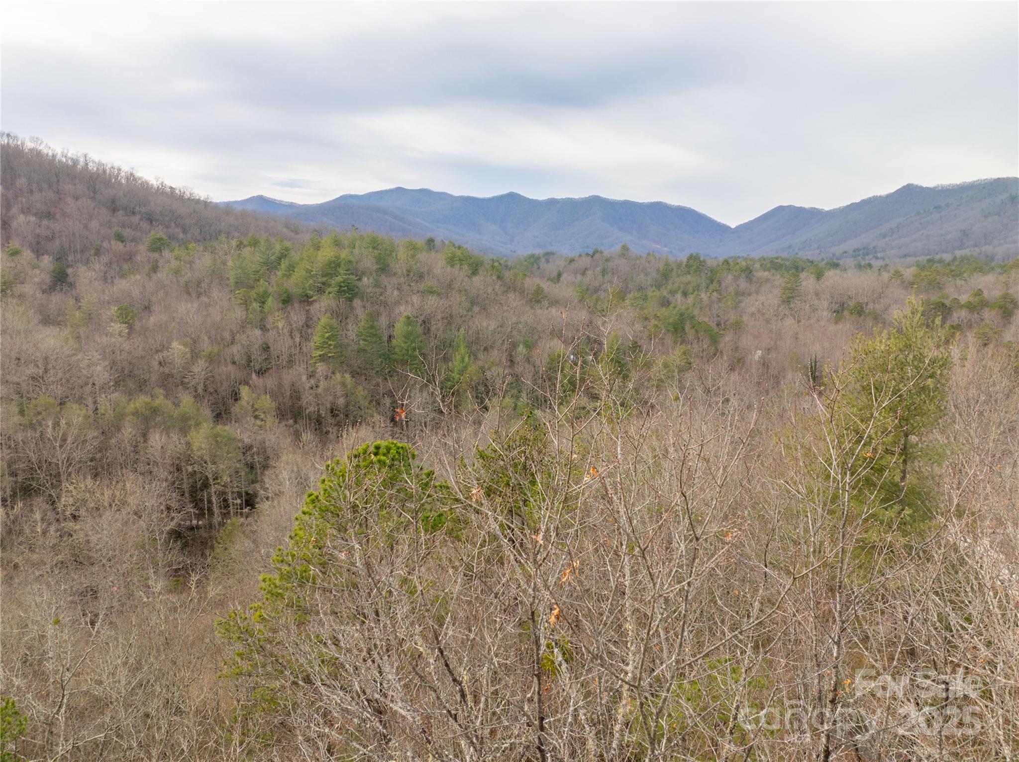 Carolina Vistas - Land