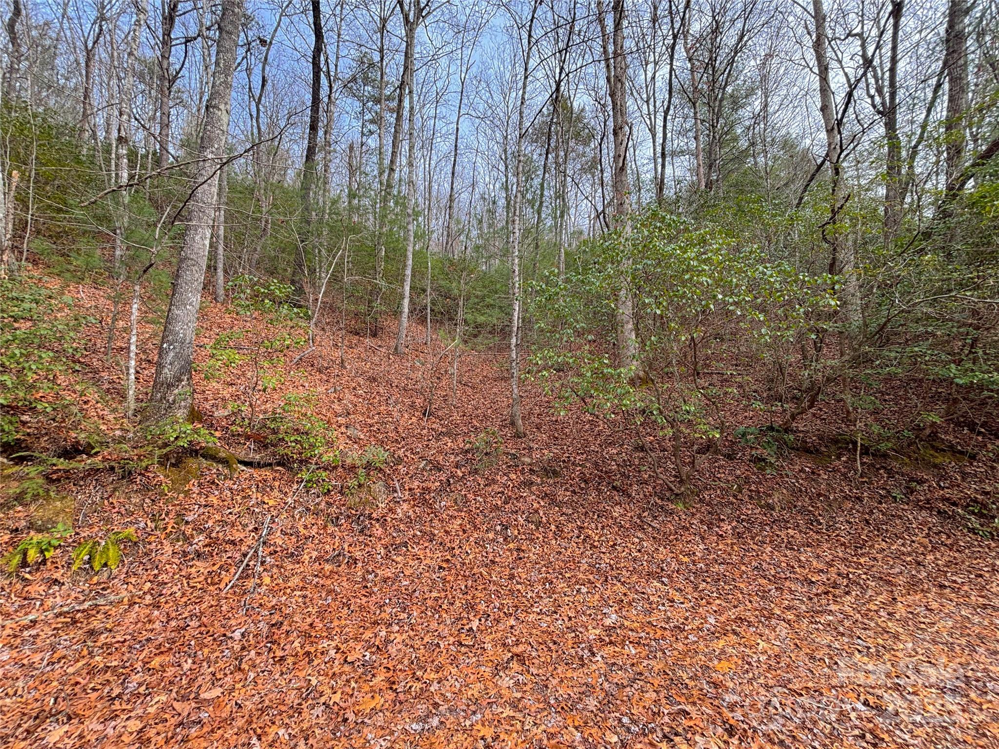 Carolina Vistas - Land