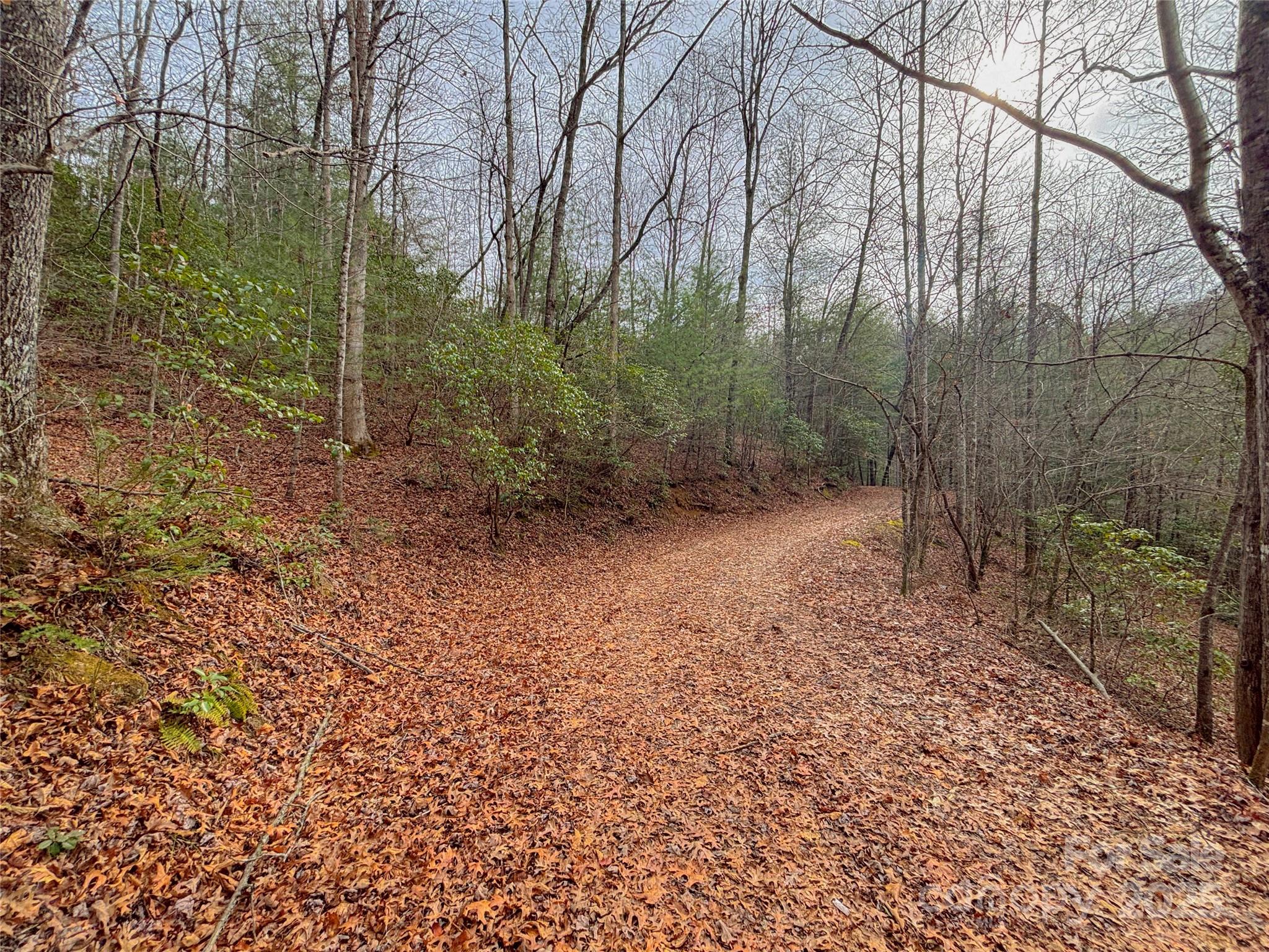 Carolina Vistas - Land