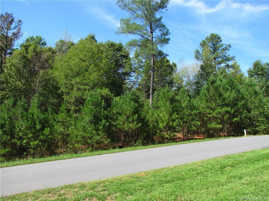 Cul-de-sac lot. In beautiful Carolina Coves. One of the last lots remaining. Ready for your Dream Home in this N'hood of exceptional homes on large lots. Country feel but convenient to shopping, dining, recreation, Lake Wylie and major roads. Award wining schools and low SC taxes.