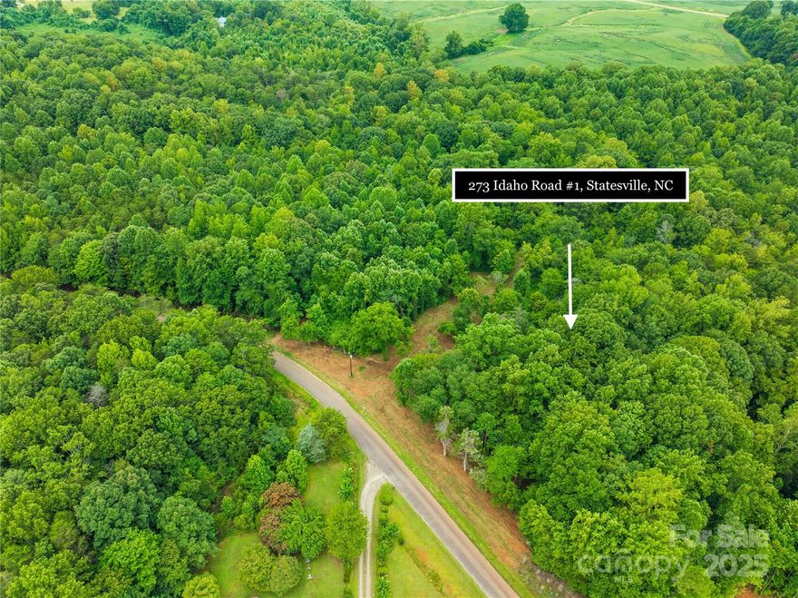 Discover the perfect opportunity to build your dream home or next investment property in Statesville. This beautiful parcel of raw land offers a blank canvas with endless potential. Nestled in a quiet dead end street, you’ll enjoy the peace of country living with easy access to major highways. Whether you're looking to build a custom residence, place a modular home, or invest in future development, this lot is ready for your vision. No HOA, no restrictions—just wide open possibilities. Utilities nearby. Buyer to verify zoning and land use options. See survey, 3 total lots available. Perk needed