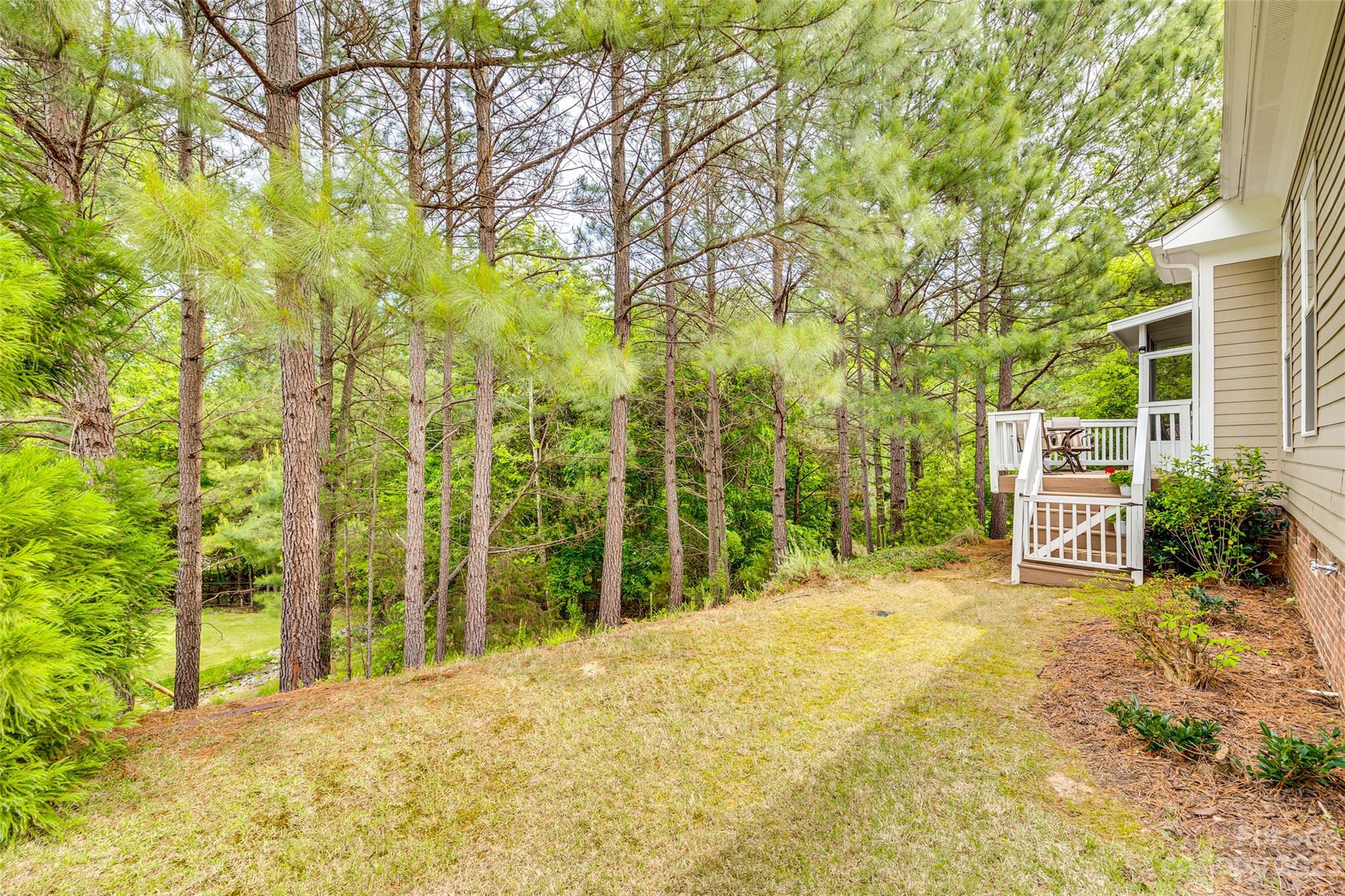 Lake Shore - Residential