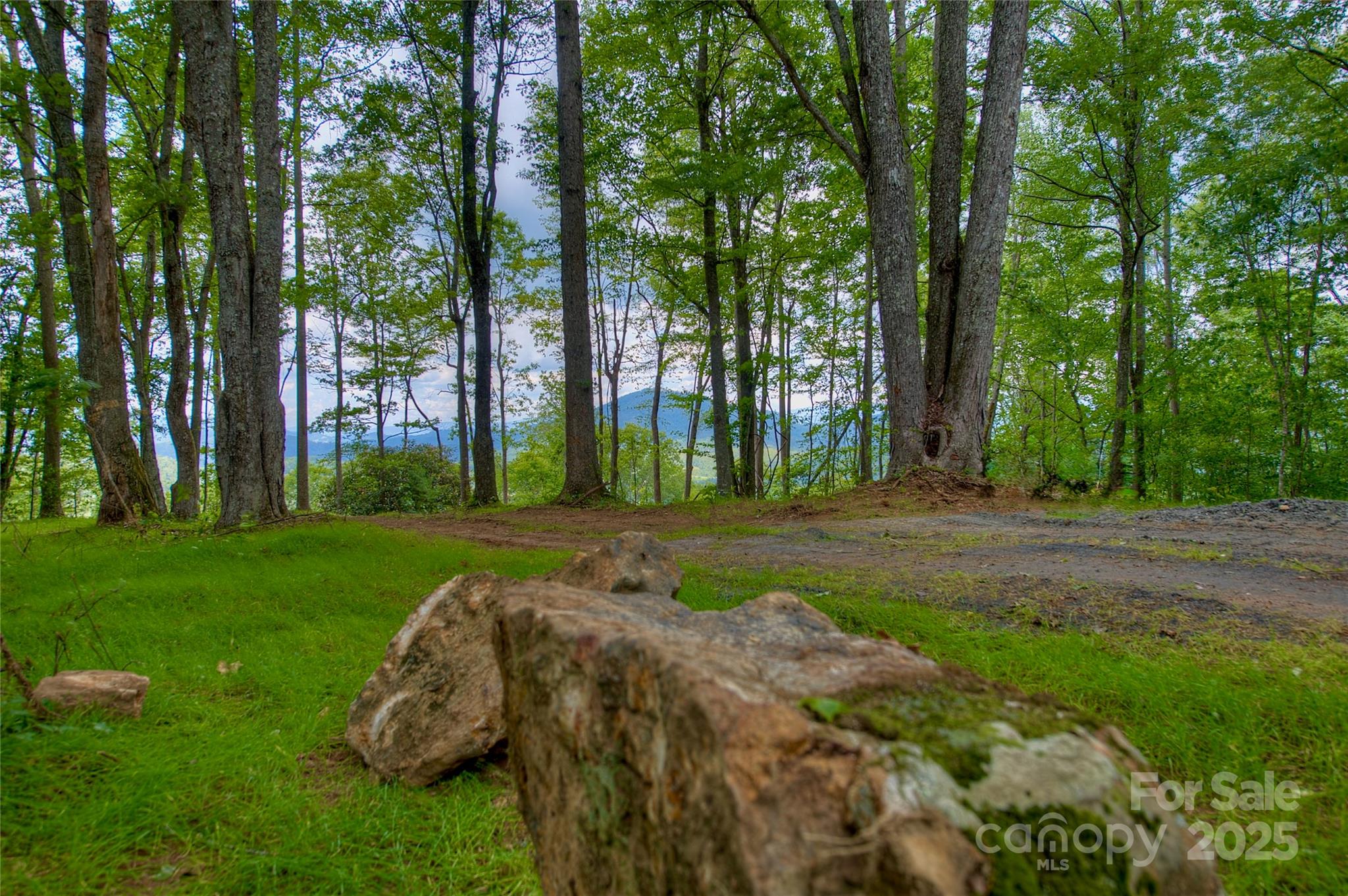 000 Charlie Woody Mountain Road
