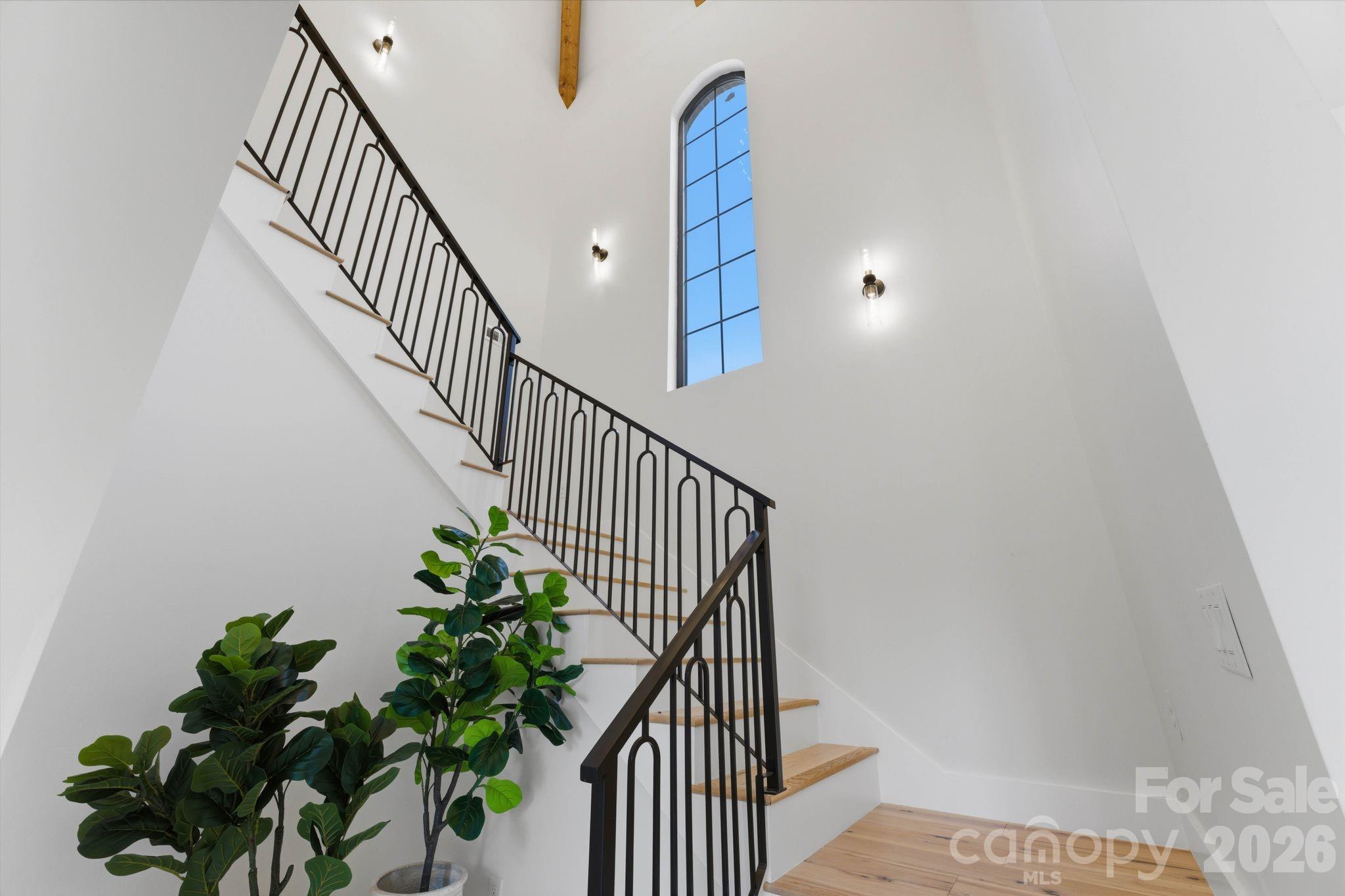 Queens Cove - Residential