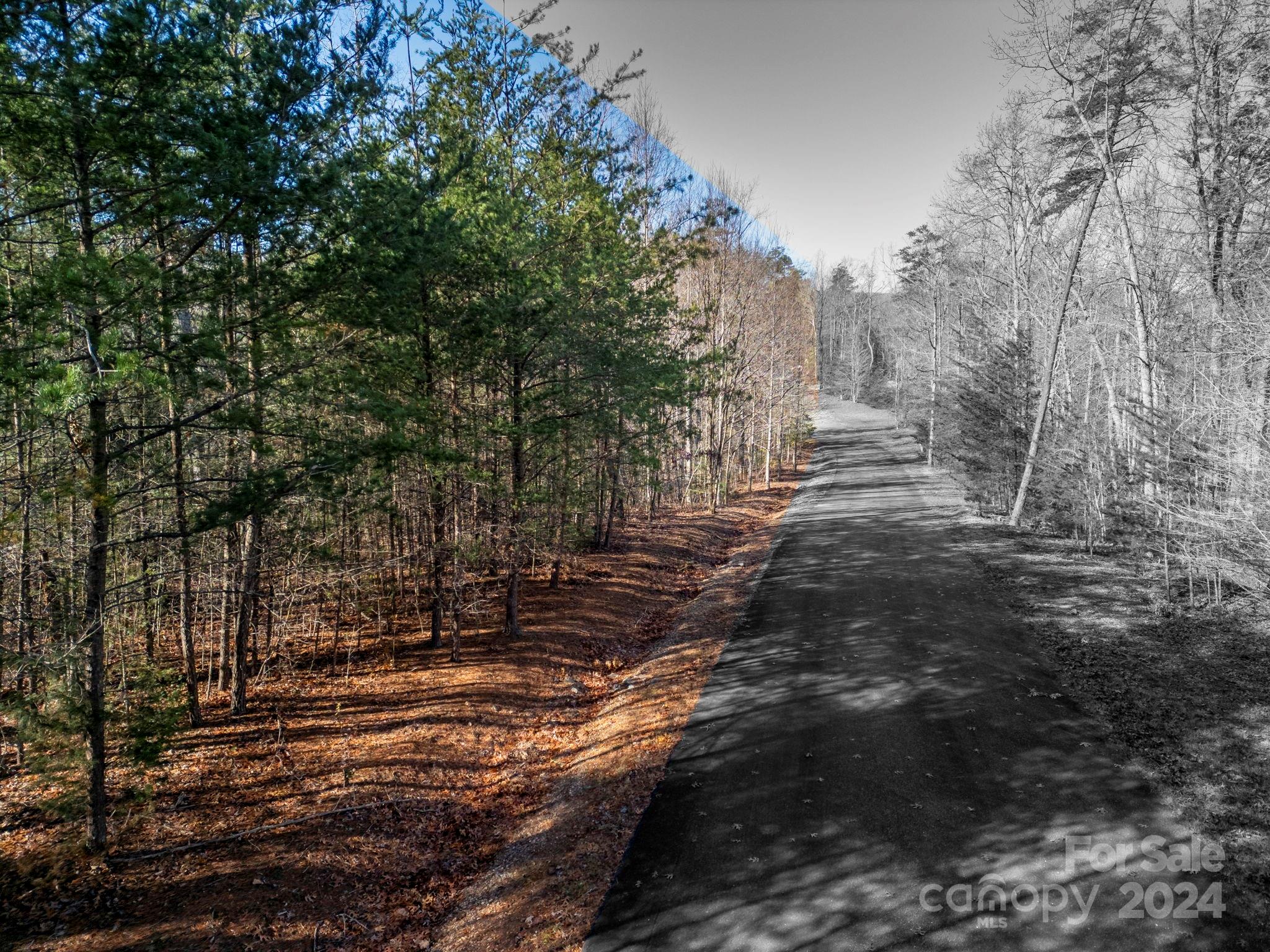 Forest Heights - Land