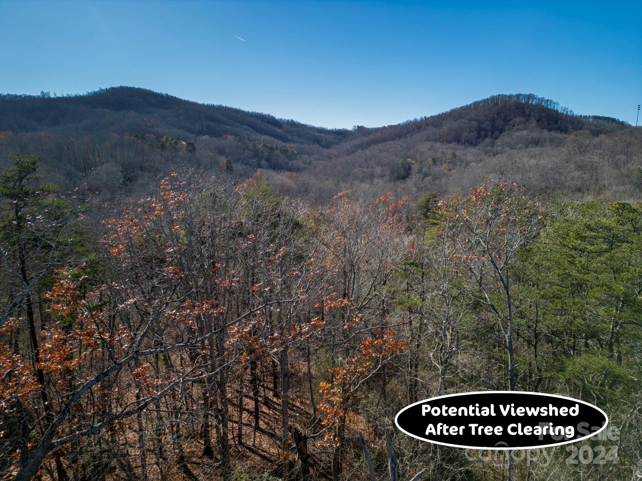 Forest Heights - Land