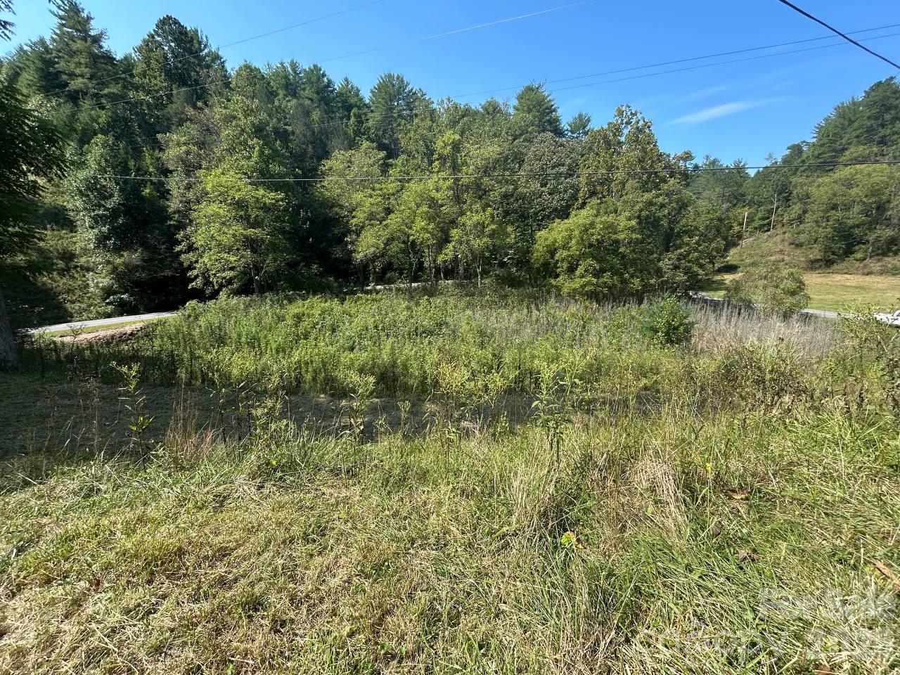 2635 Lower Gabriels Creek Road
