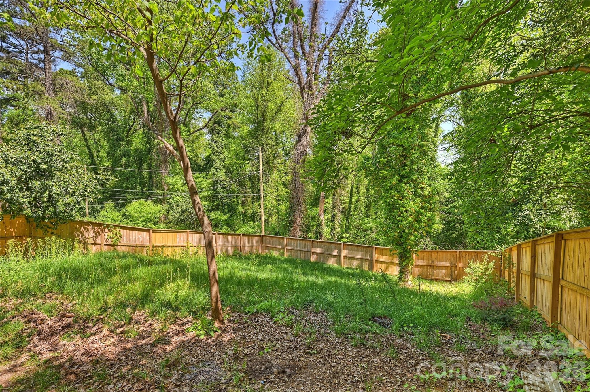 Druid Hills - Residential