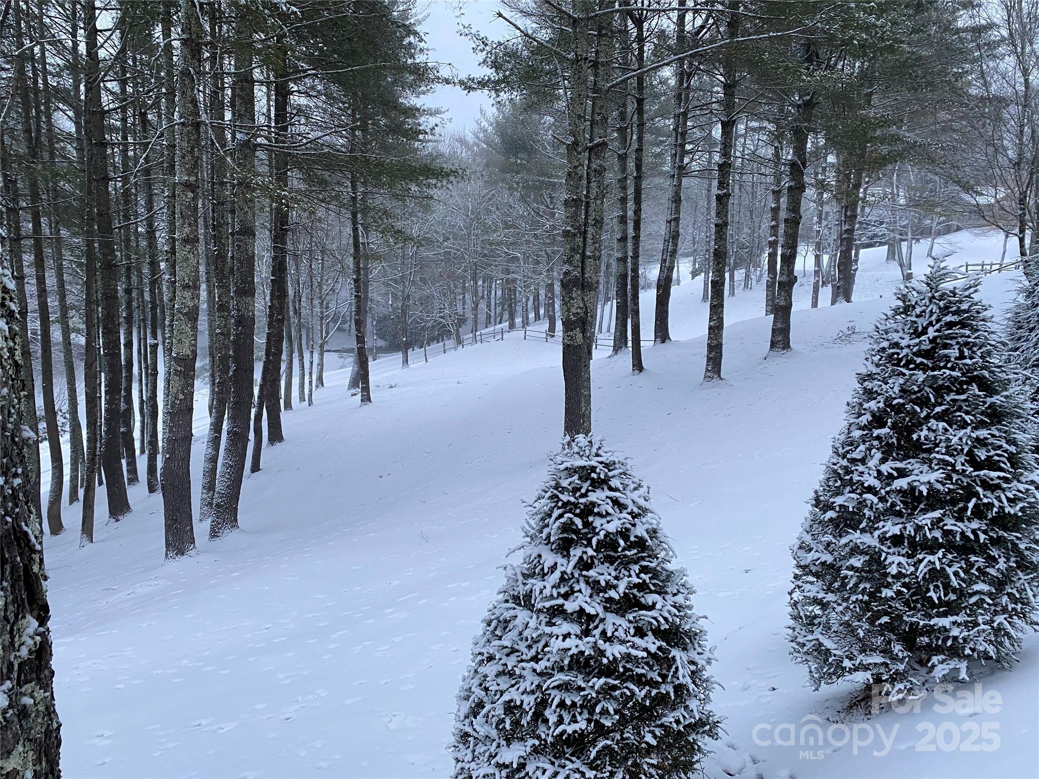 Vilas, North Carolina 28692, United States, 3 Bedrooms Bedrooms, ,4 BathroomsBathrooms,Residential,Active,229824