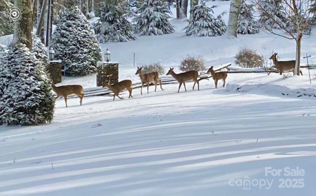 Vilas, North Carolina 28692, United States, 3 Bedrooms Bedrooms, ,4 BathroomsBathrooms,Residential,Active,229824