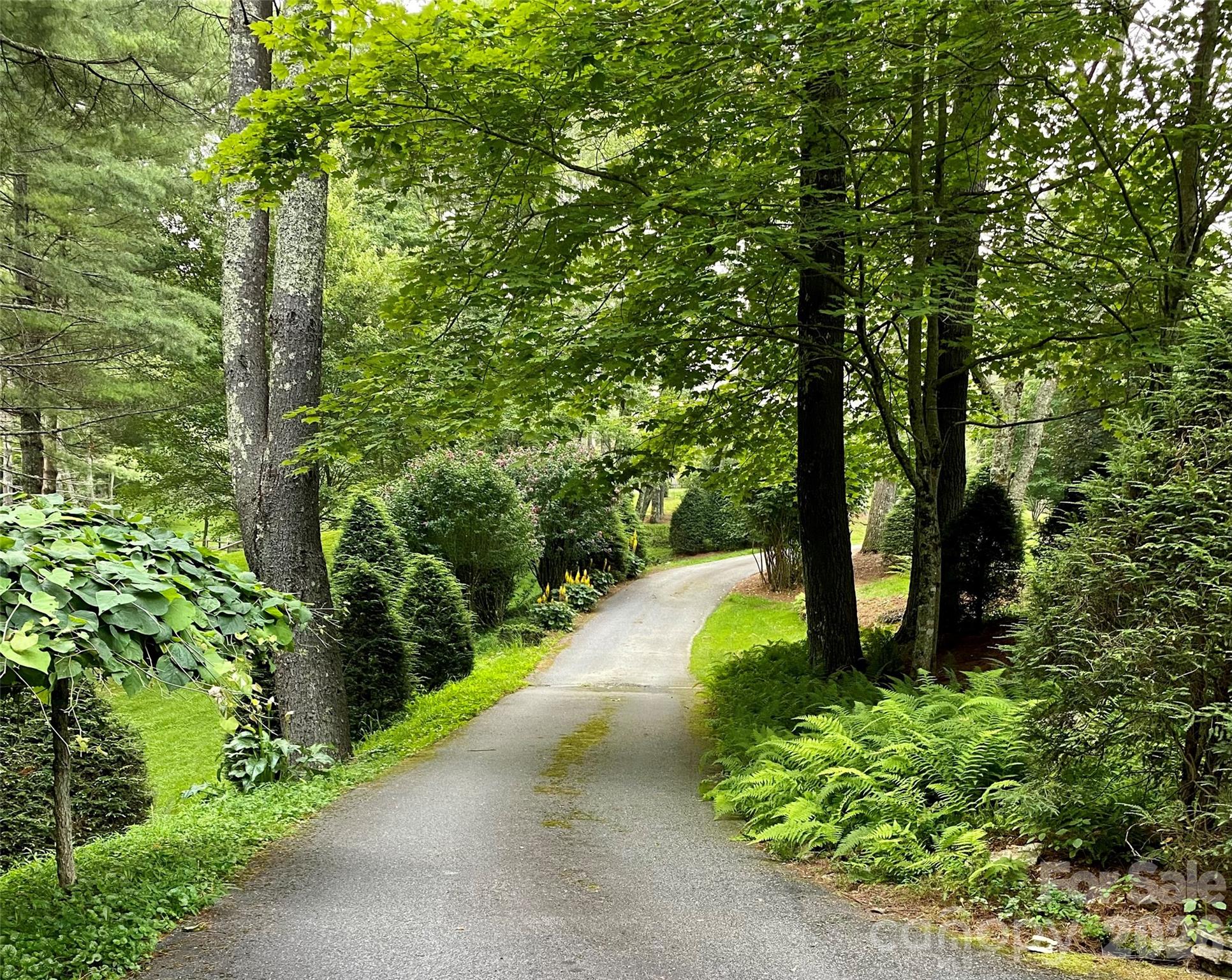 Valle Cay - Residential