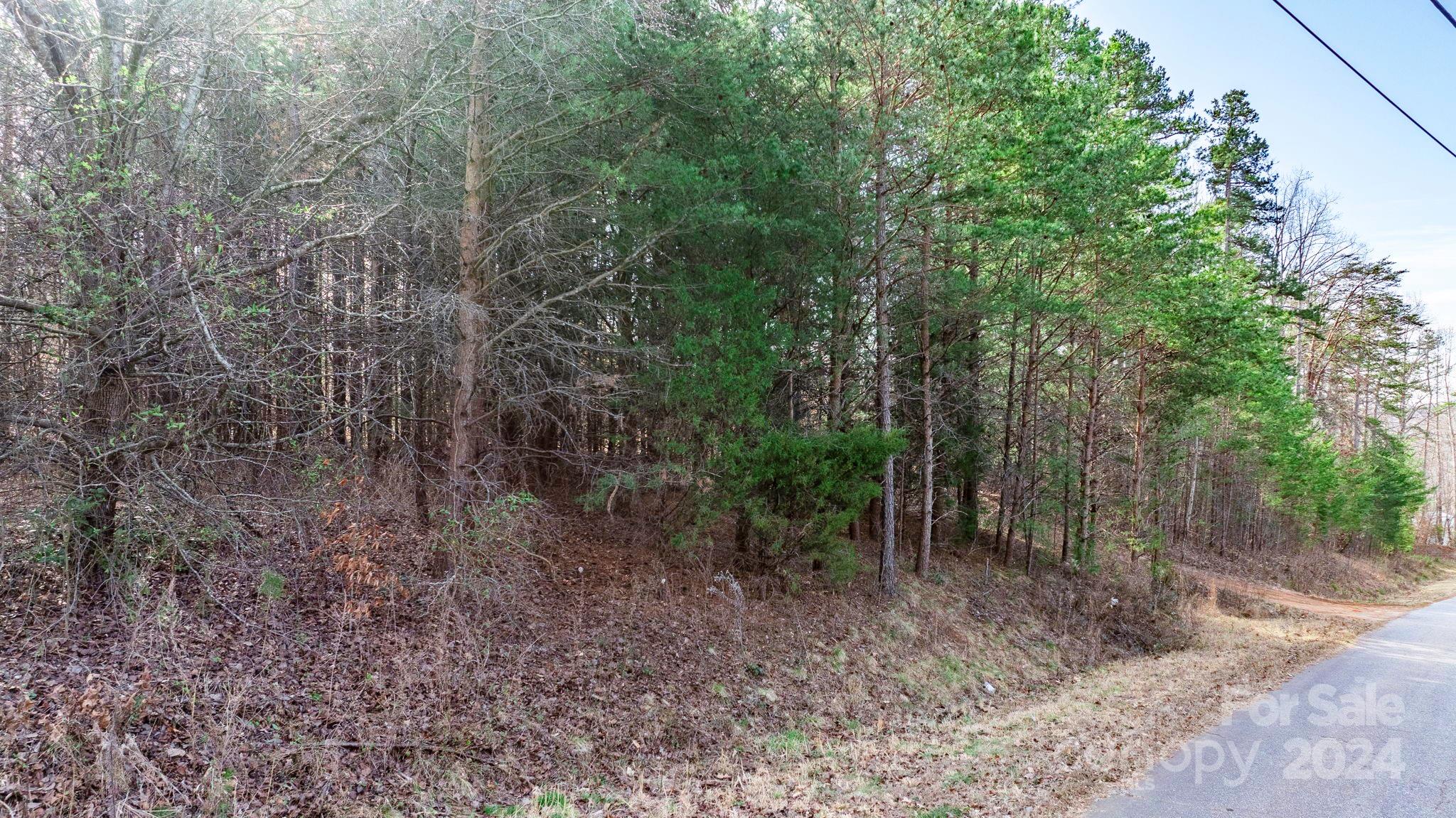 Hollywood Heights - Land