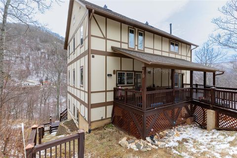 20 Lila Lane B Clyde NC 28721