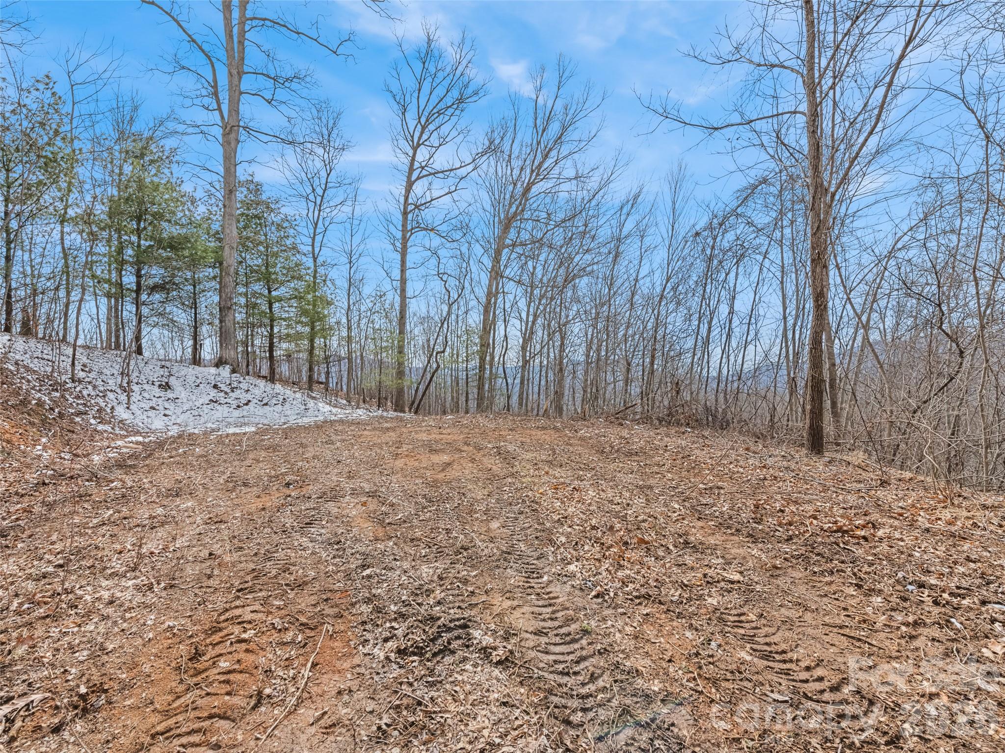 Lot #4 Viewpoint Mountain