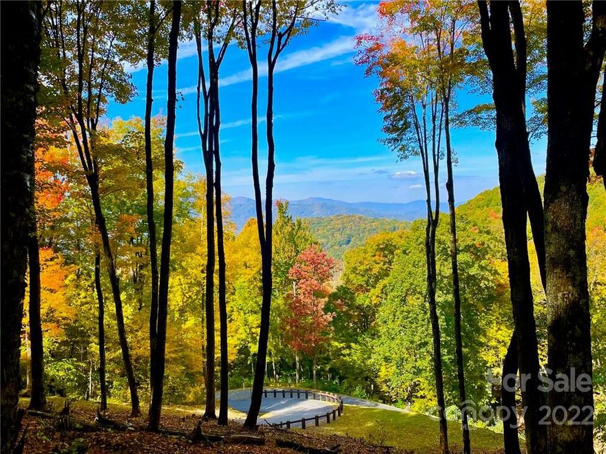 High speed fiber optic gigabit internet! Private mountain view lot in in The Ascot Club at Highland Forest, a gated mountain community with completed amenities and nicely paved roads located in Waynesville, North Carolina just twelve minutes from the shops and restaurants of downtown Main Street. The clubhouse includes a restaurant, bar, pool and fitness. The Community Park opened in 2022. Well and septic required. Utility impact and connection fee.