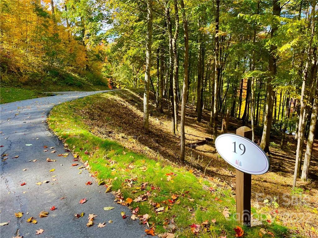 Highland Forest - Land