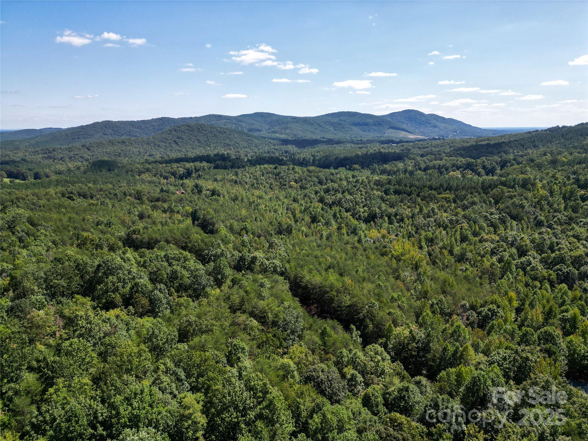 Lot 117 Owls Ridge Drive