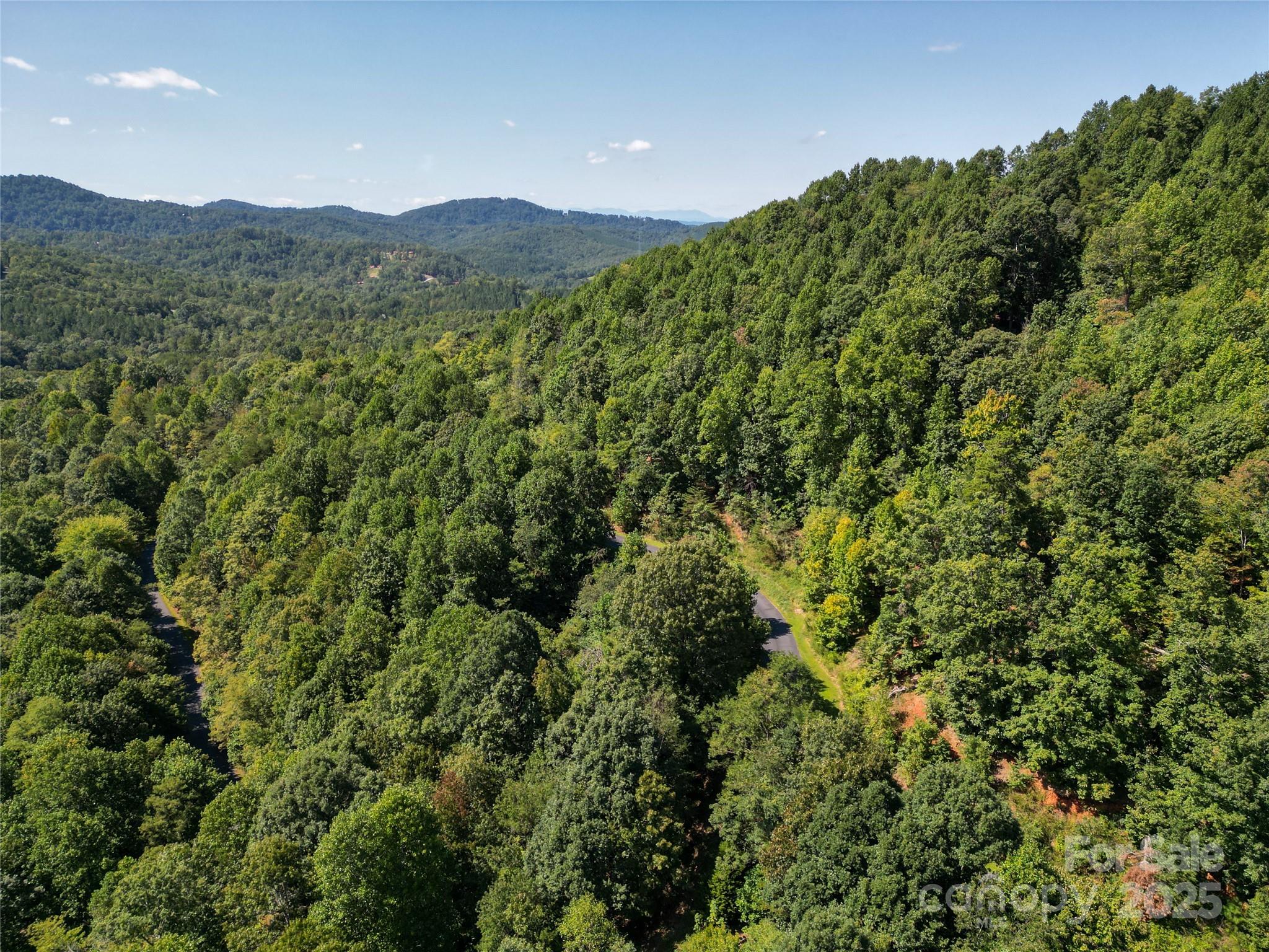Lot 117 Owls Ridge Drive