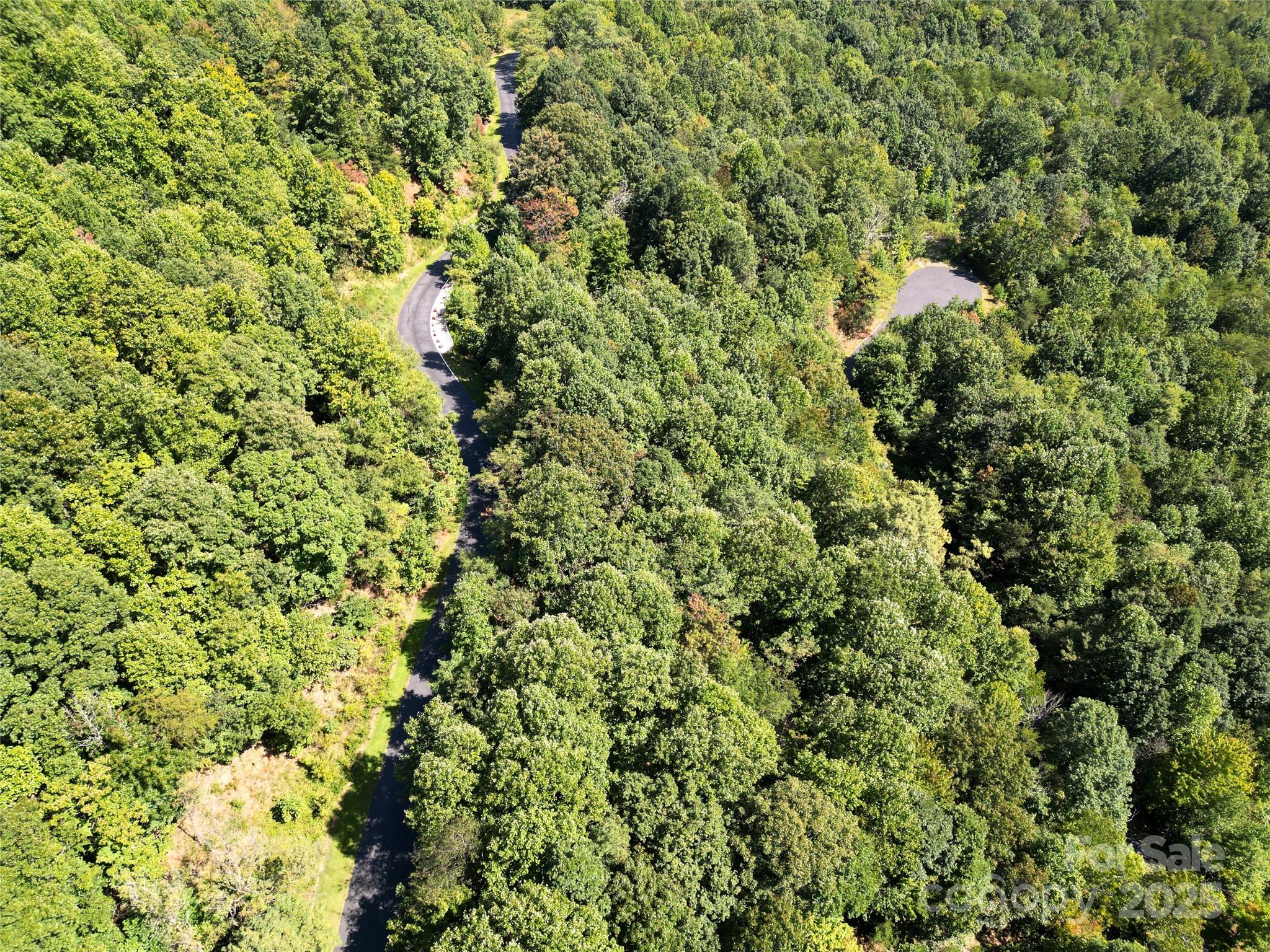 Lot 117 Owls Ridge Drive