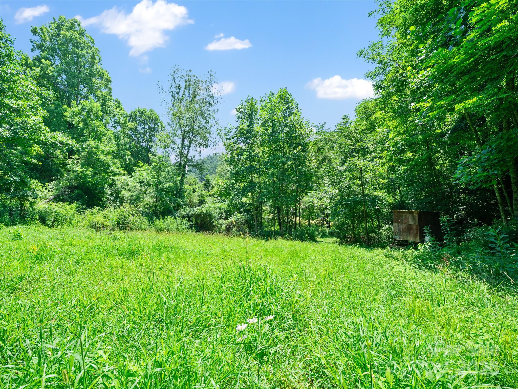 1377 Langford Branch Road