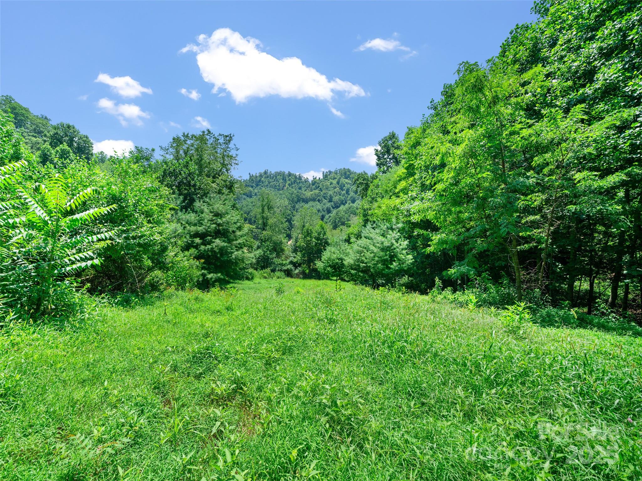 1377 Langford Branch Road