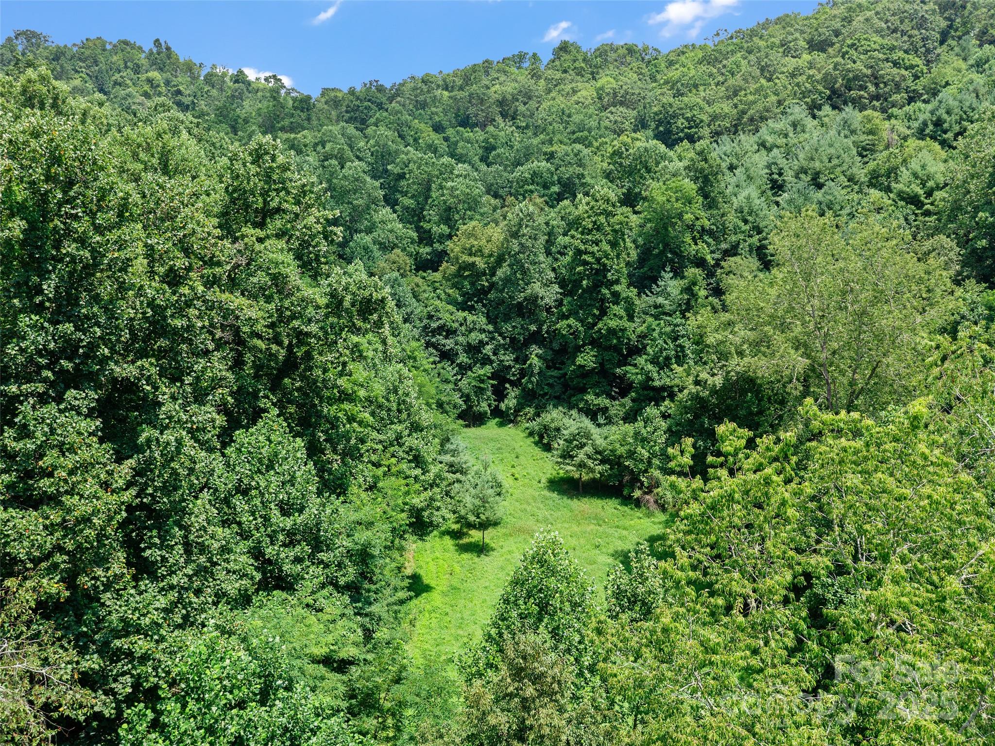 1377 Langford Branch Road