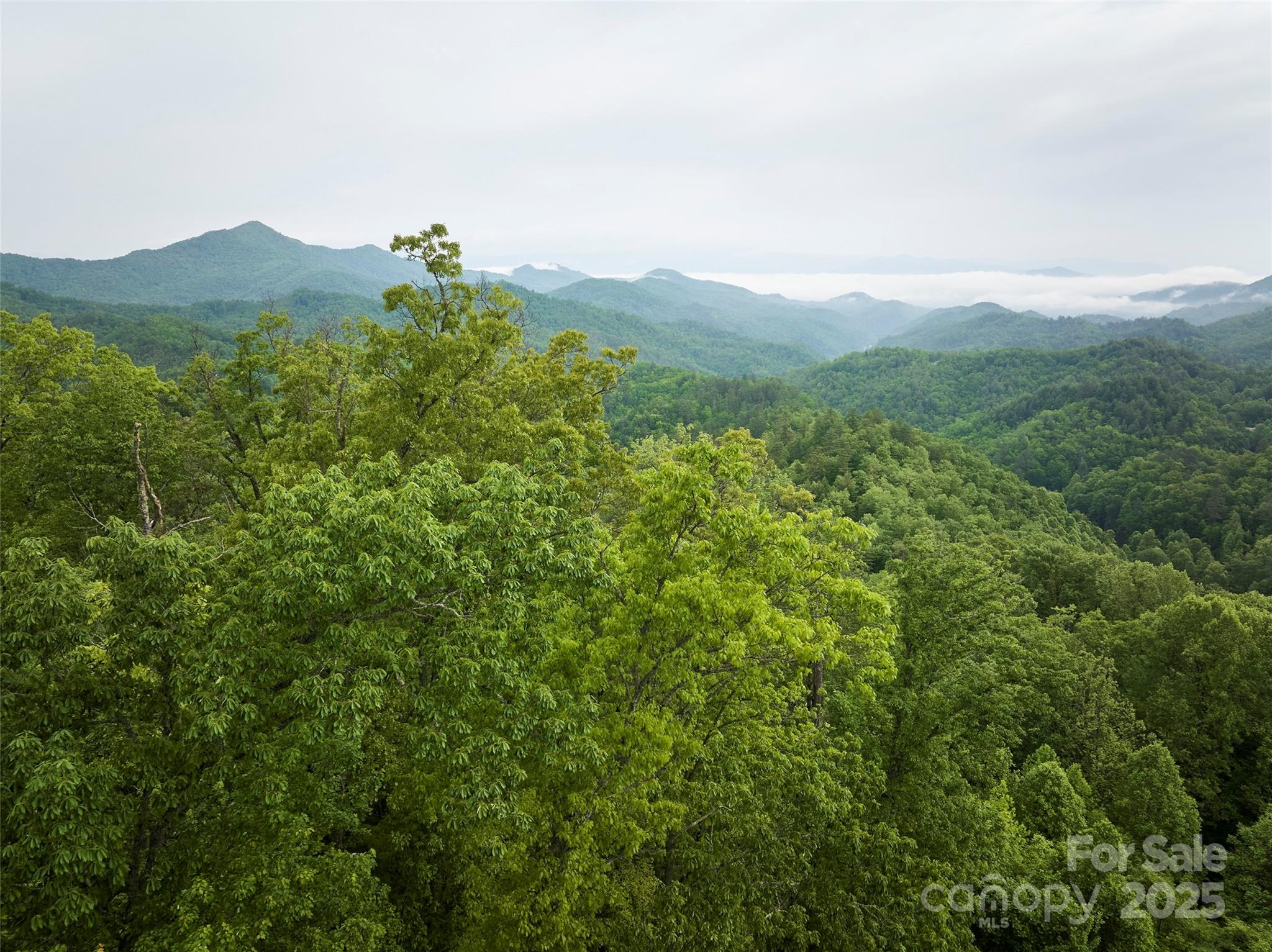 Grant Estates - Land