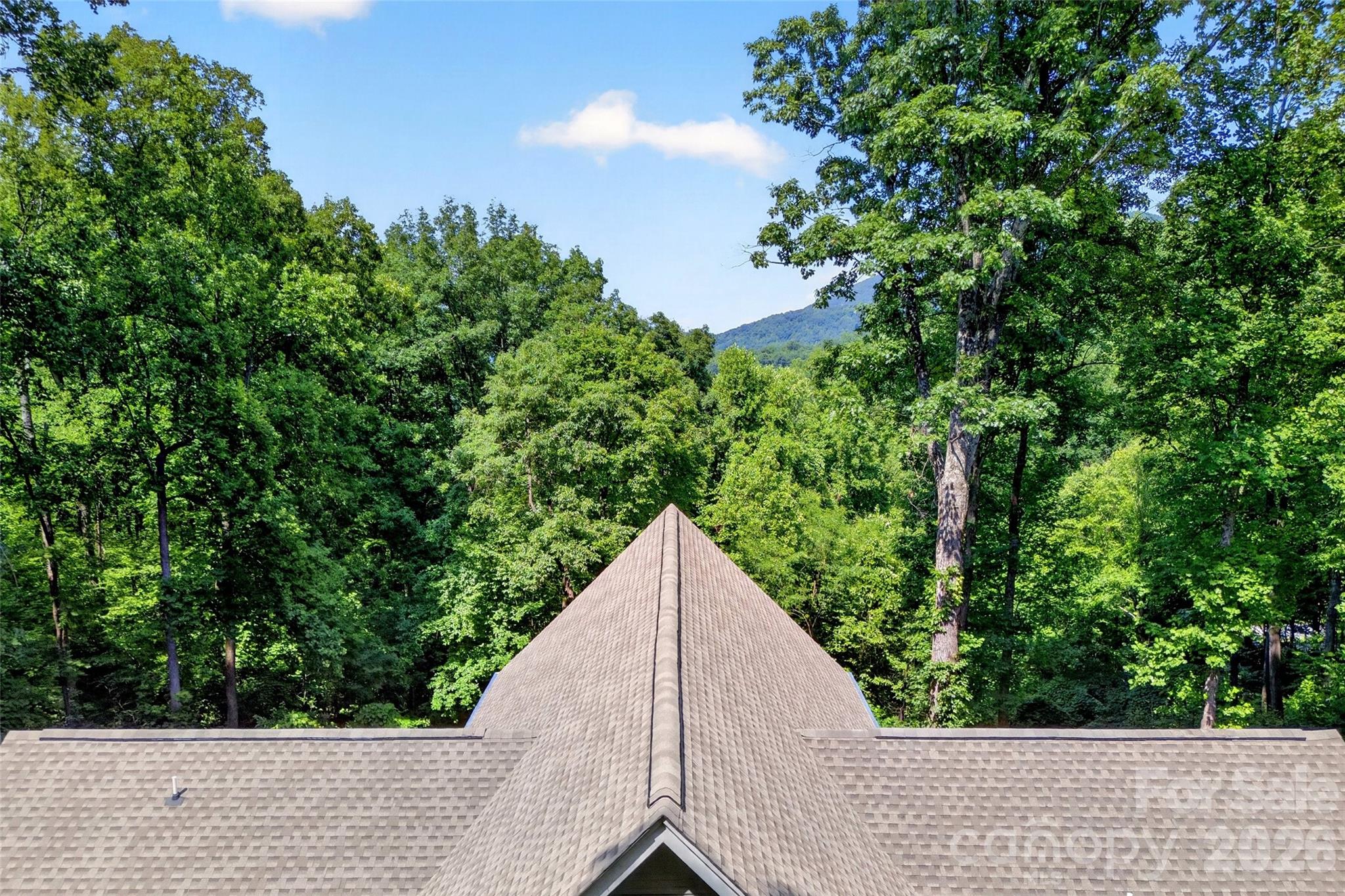 771 Sally Gap Road