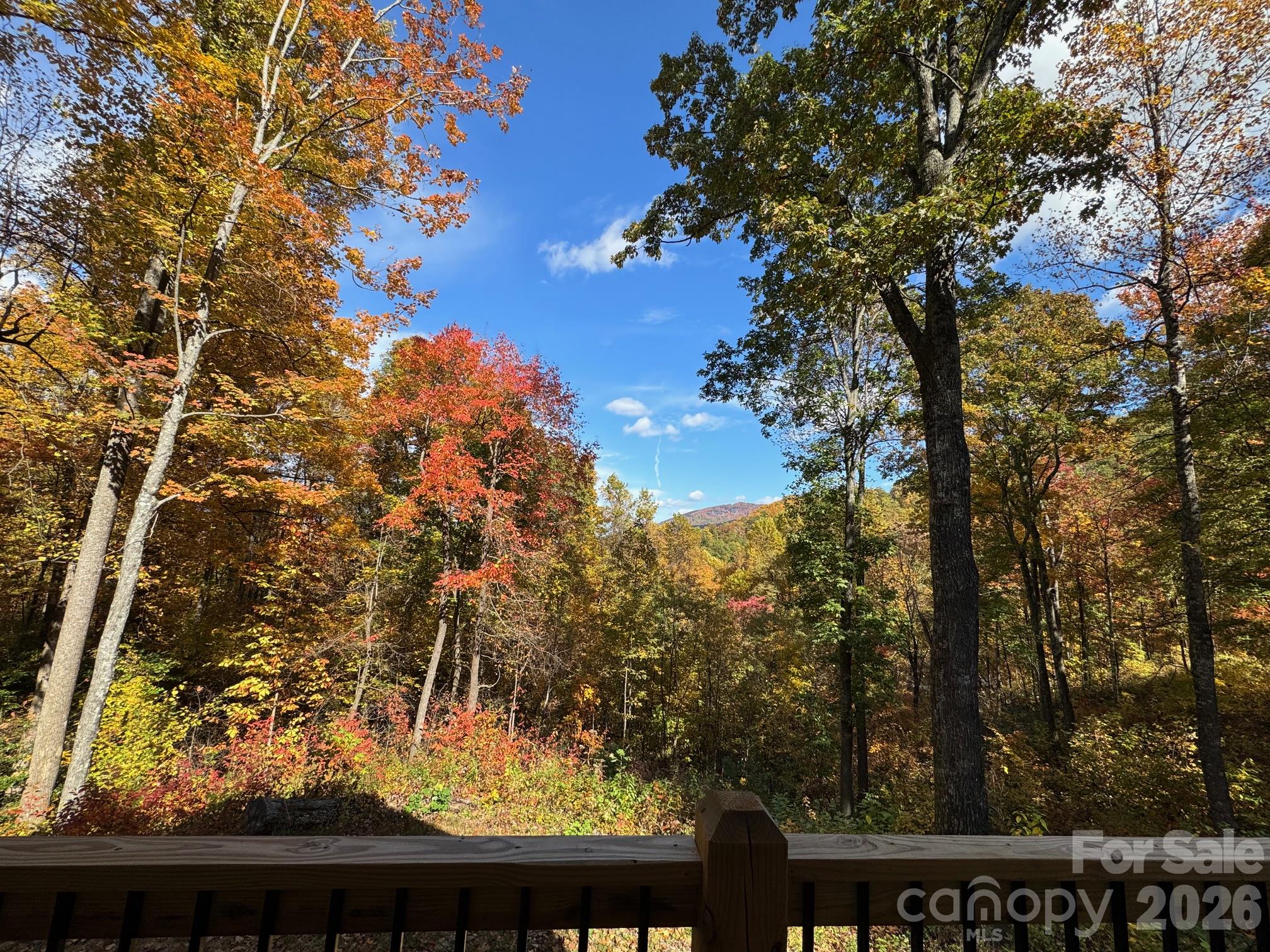 771 Sally Gap Road