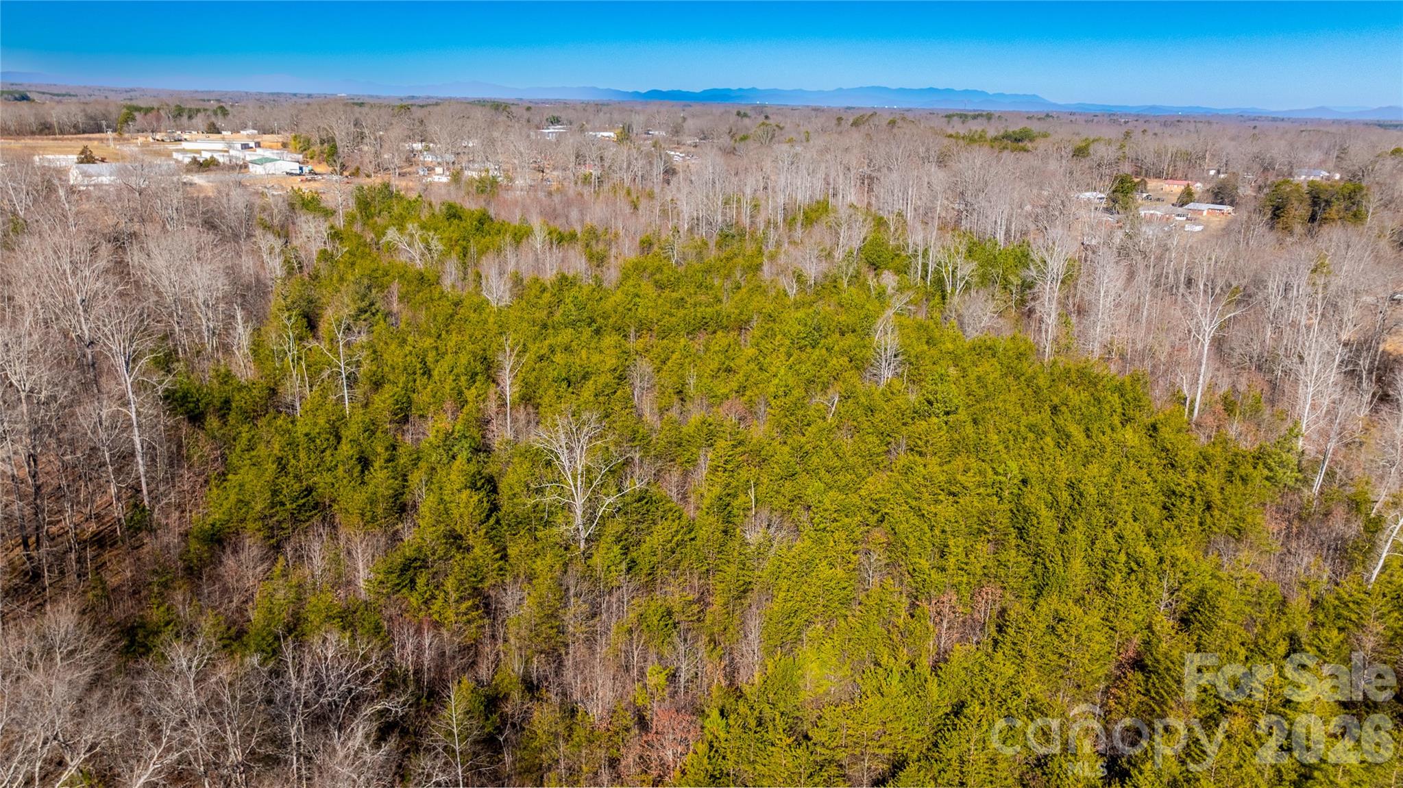 00000 E Melissa Lane