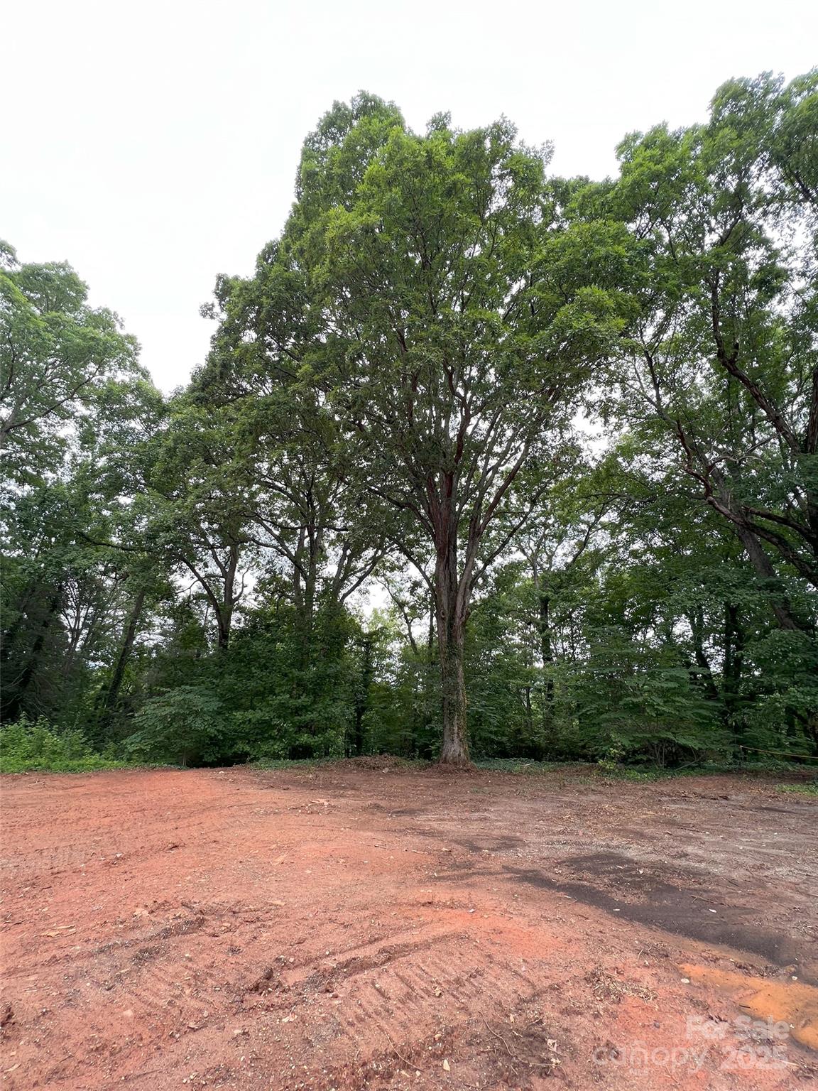 Fair Lane Estates - Land