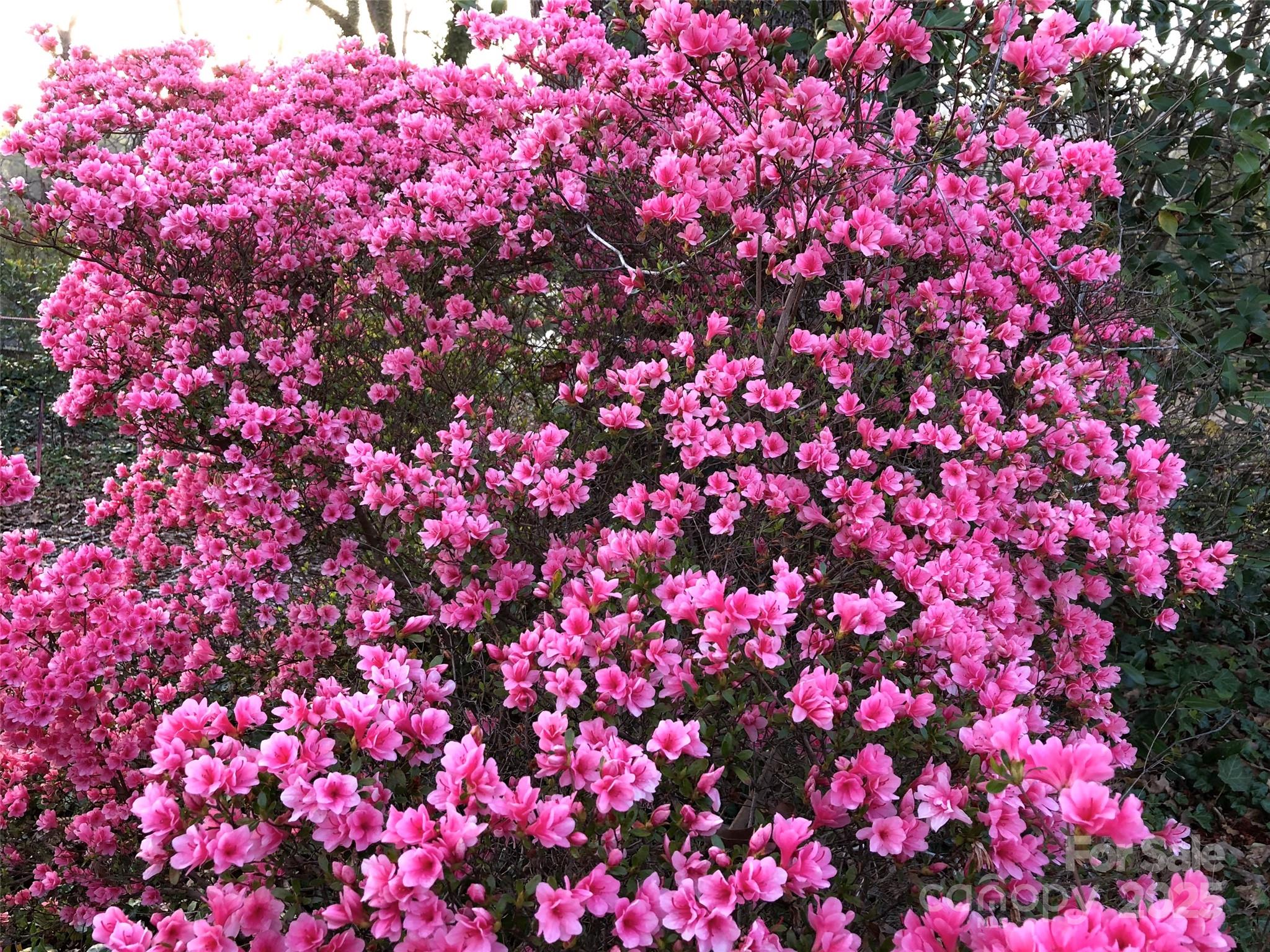 Fair Lane Estates - Land