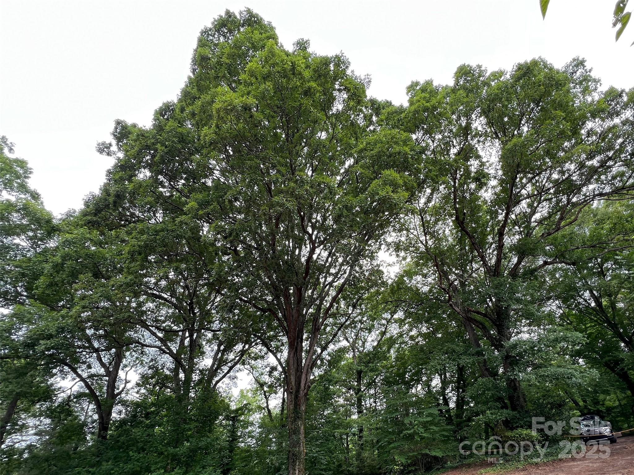 Fair Lane Estates - Land