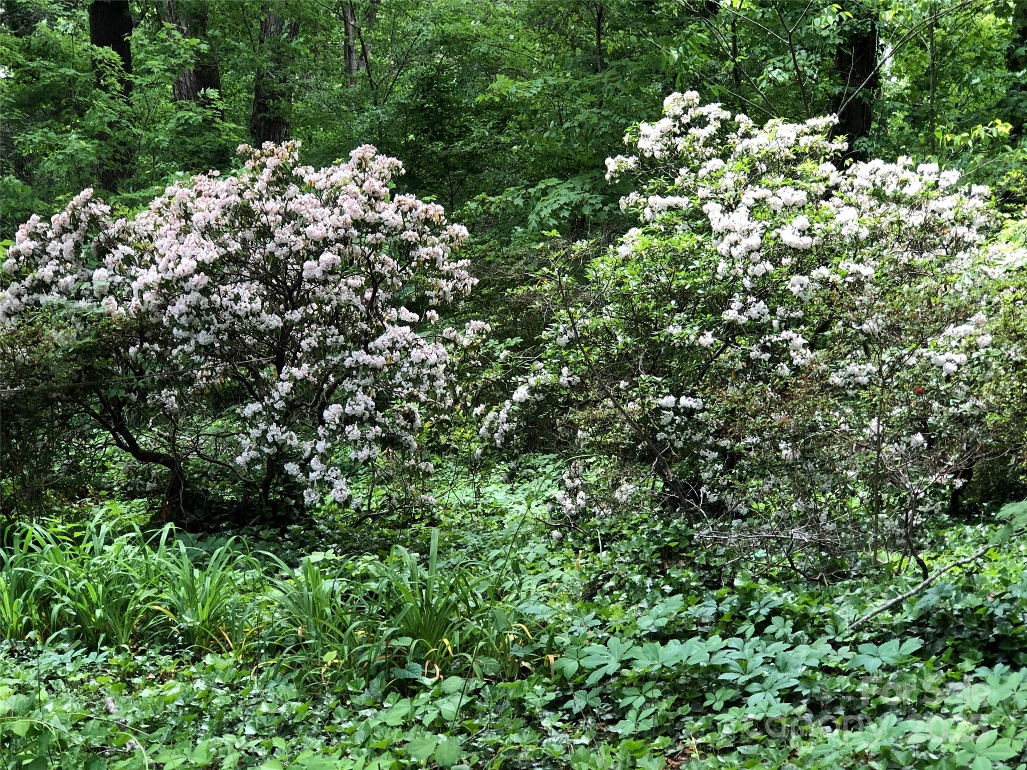 Fair Lane Estates - Land