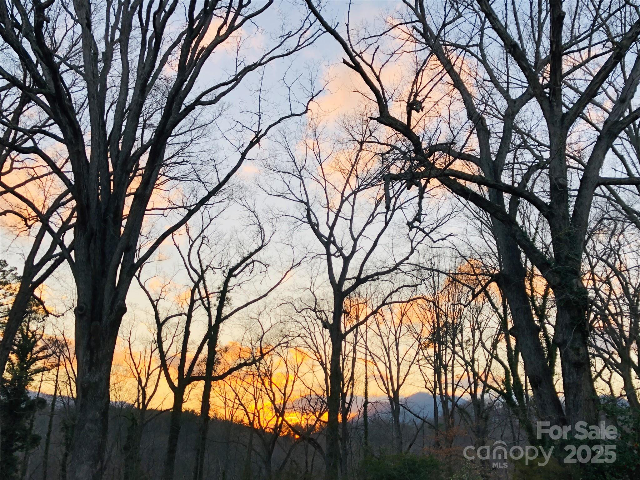 Fair Lane Estates - Land