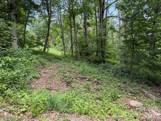Lot 16 Iga Trail 16